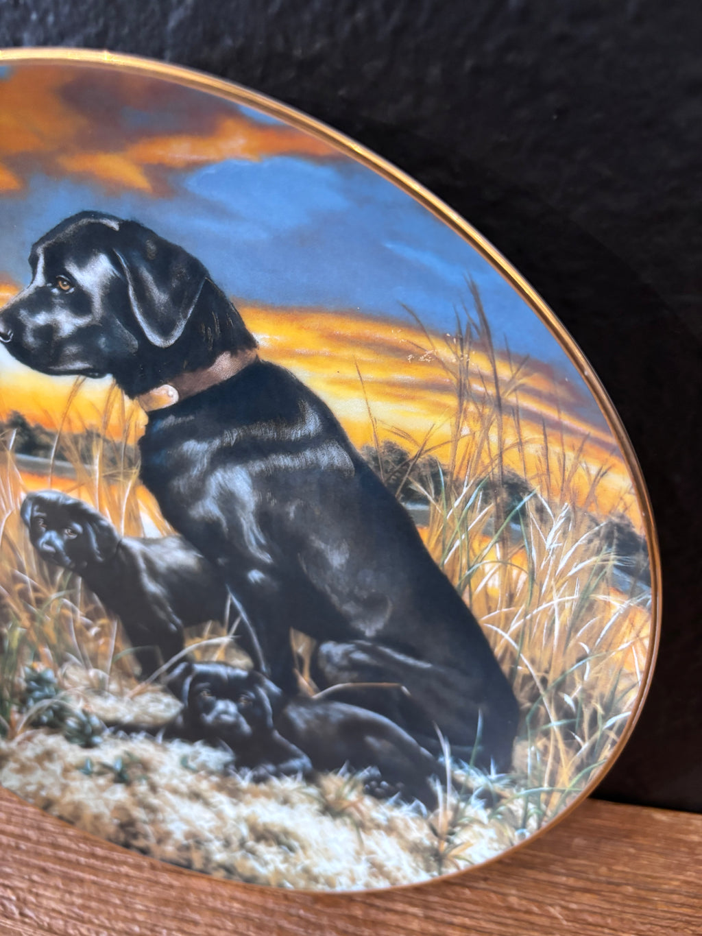 Labrador Retriever Robert Christie Plate