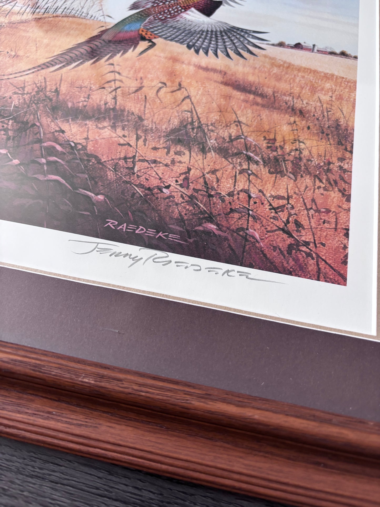 “On Golden Days” Framed Pheasant Print