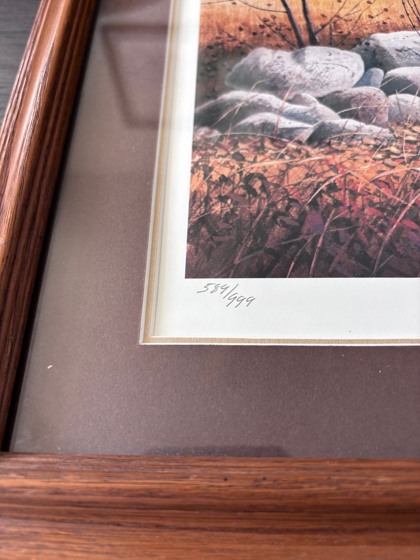 “On Golden Days” Framed Pheasant Print
