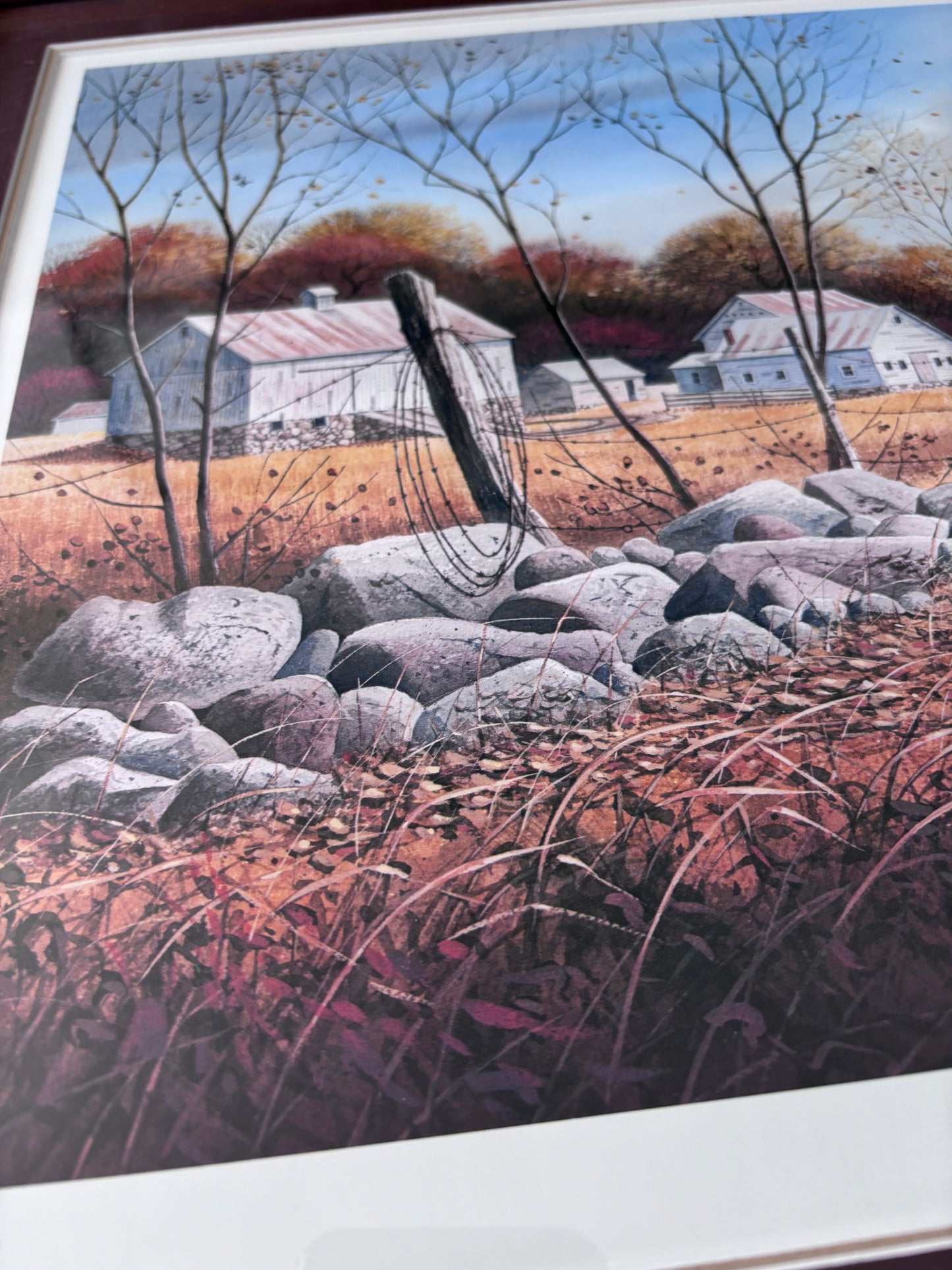 “On Golden Days” Framed Pheasant Print