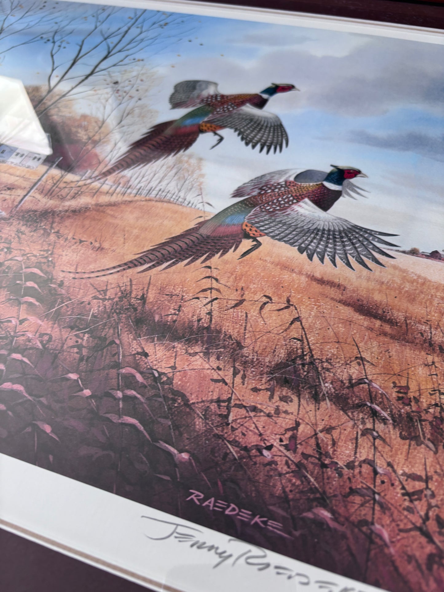 “On Golden Days” Framed Pheasant Print