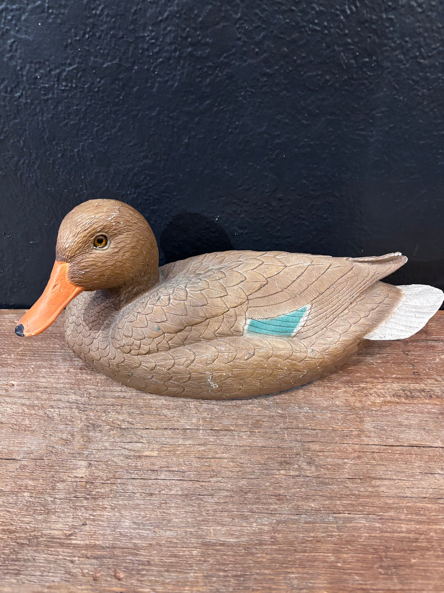 Mallard Duck Hen