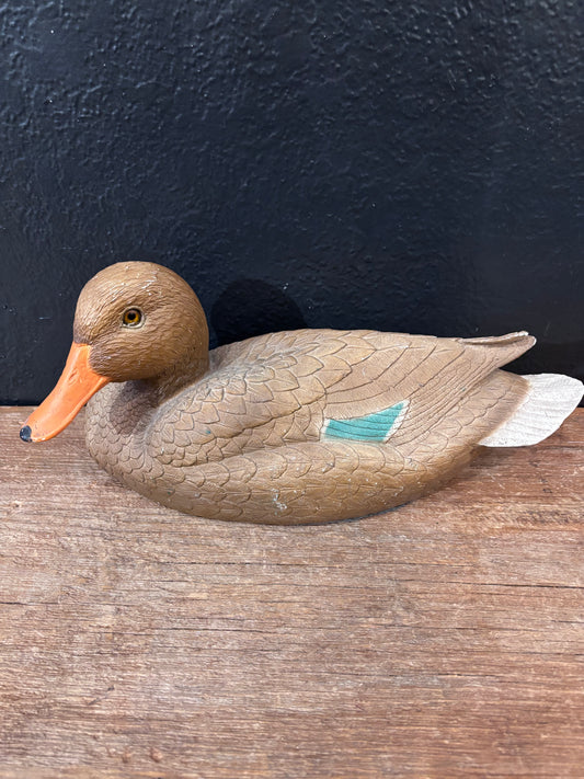 Mallard Duck Hen