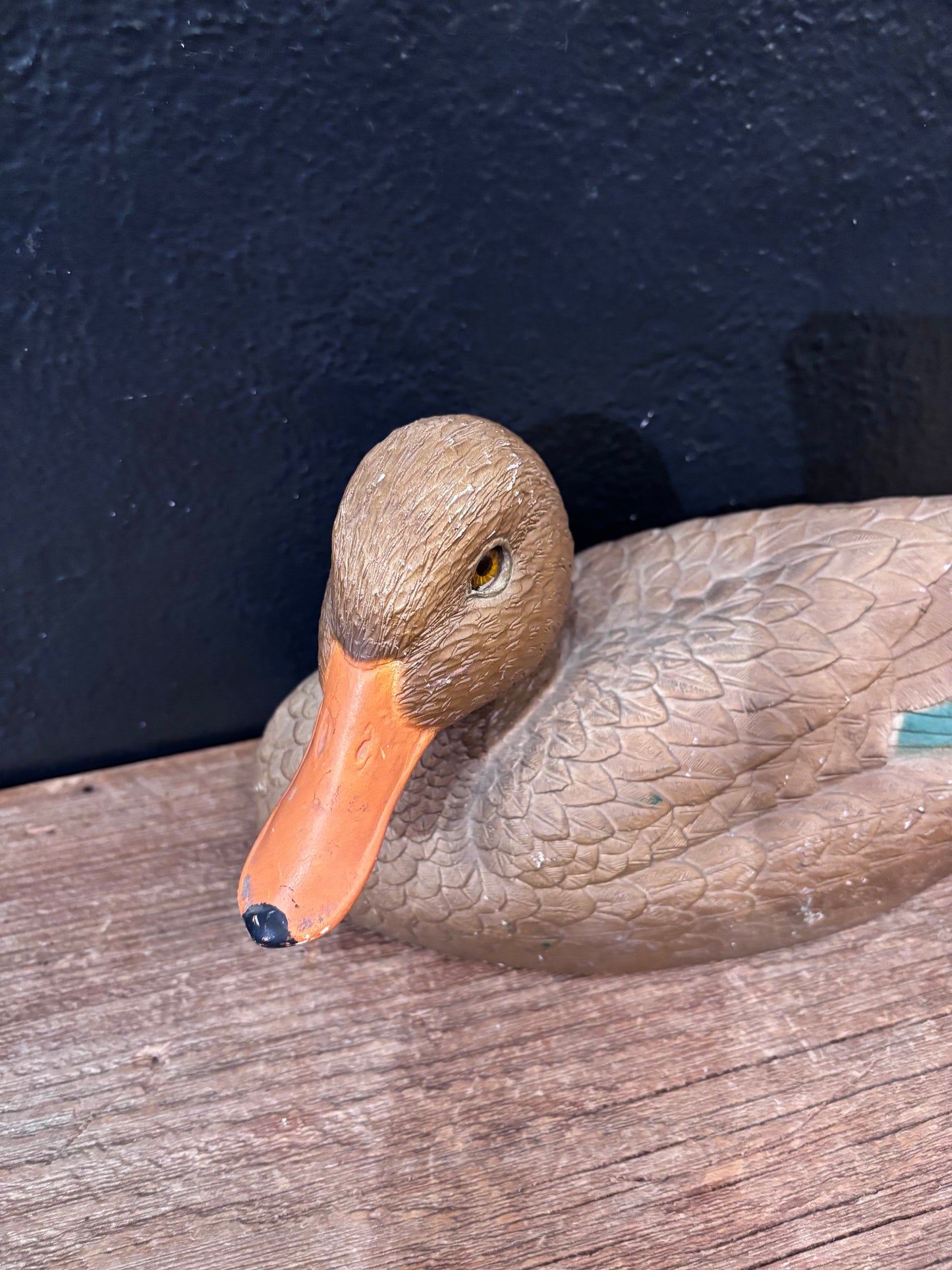 Mallard Duck Hen