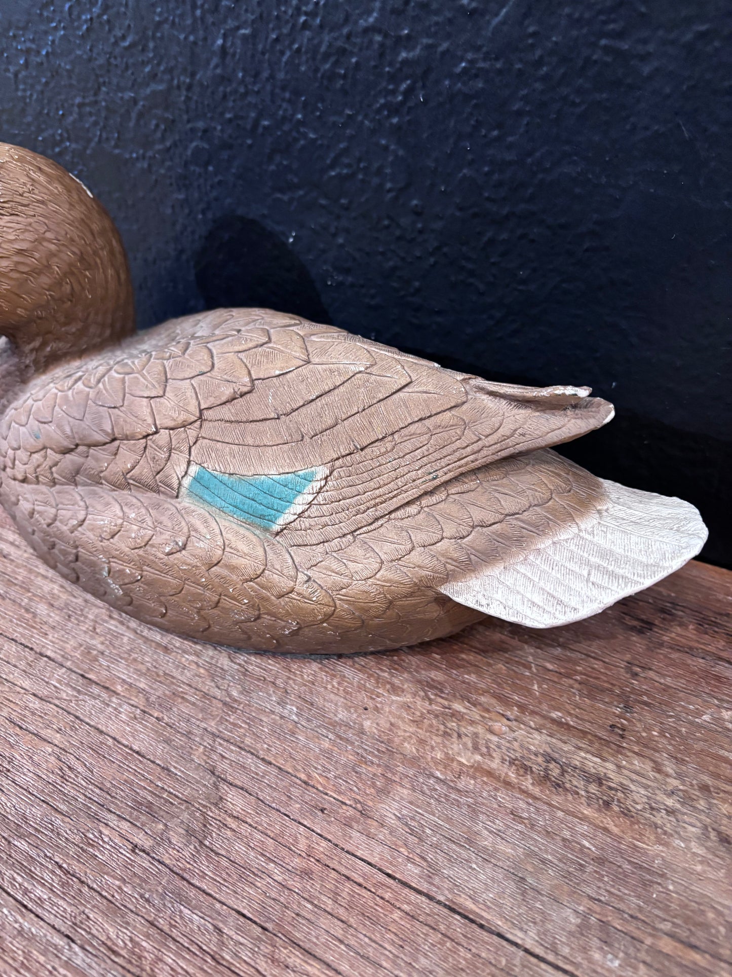 Mallard Duck Hen