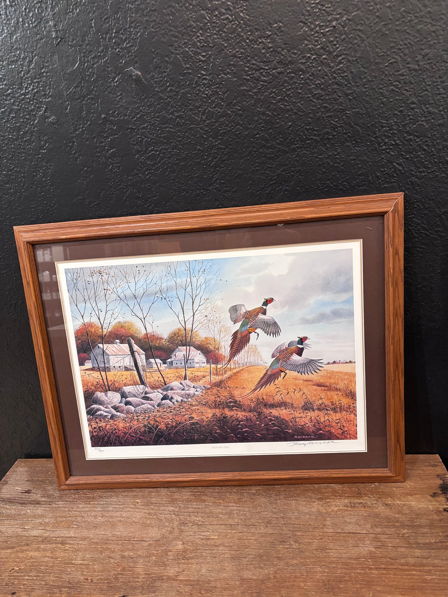 “On Golden Days” Framed Pheasant Print