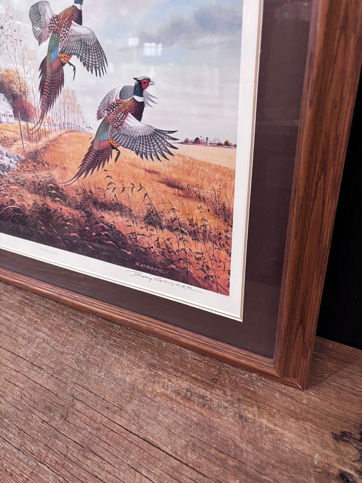 “On Golden Days” Framed Pheasant Print