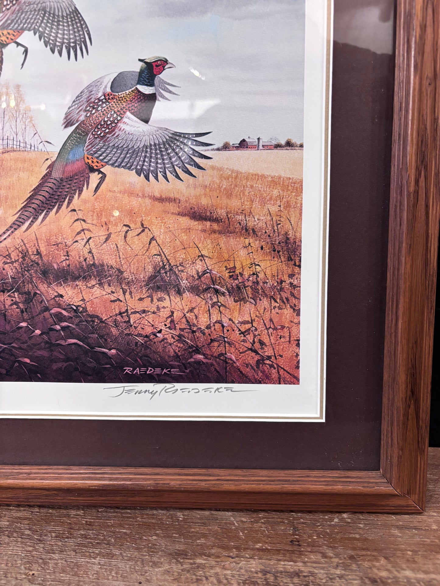 “On Golden Days” Framed Pheasant Print
