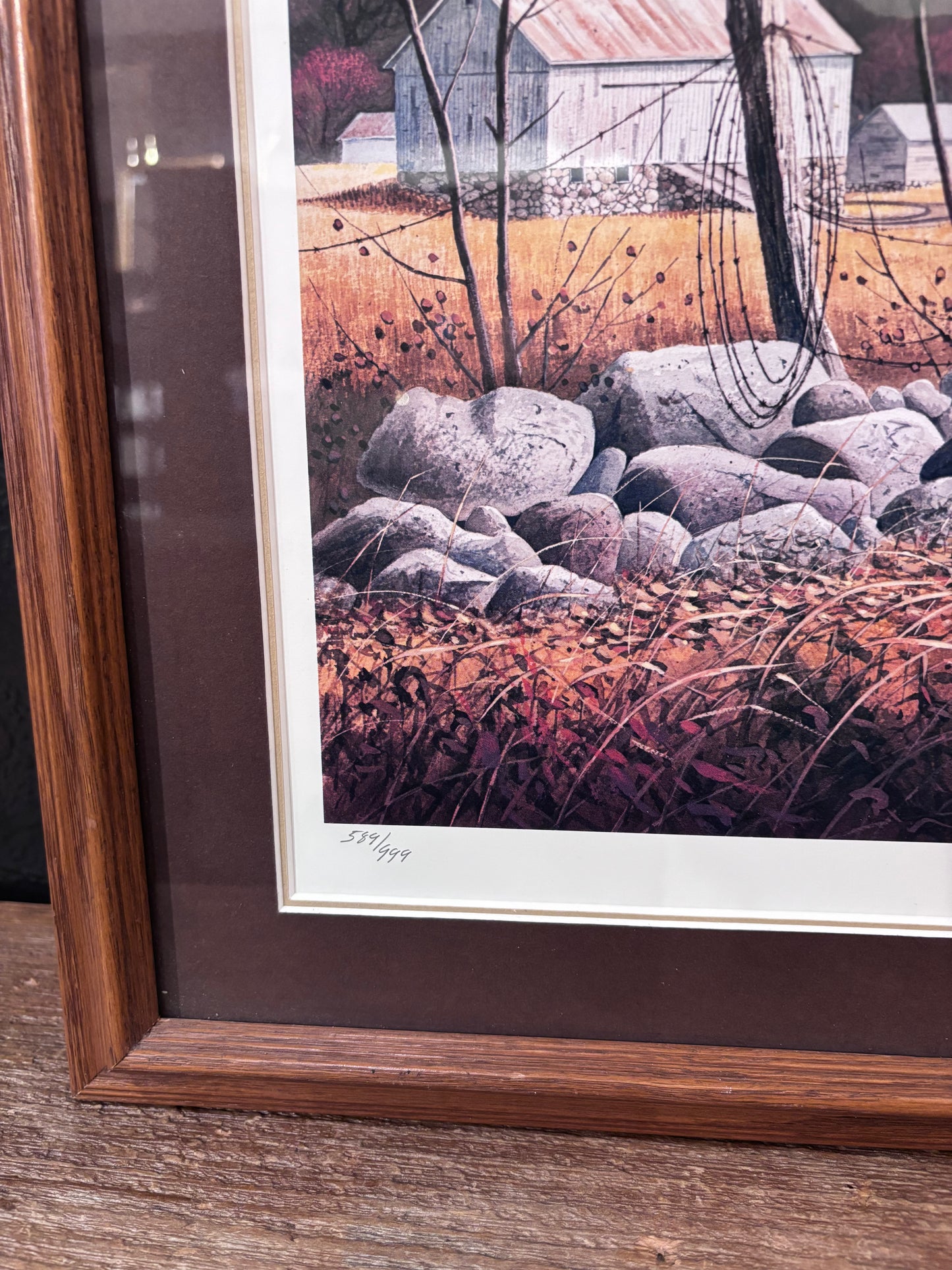 “On Golden Days” Framed Pheasant Print