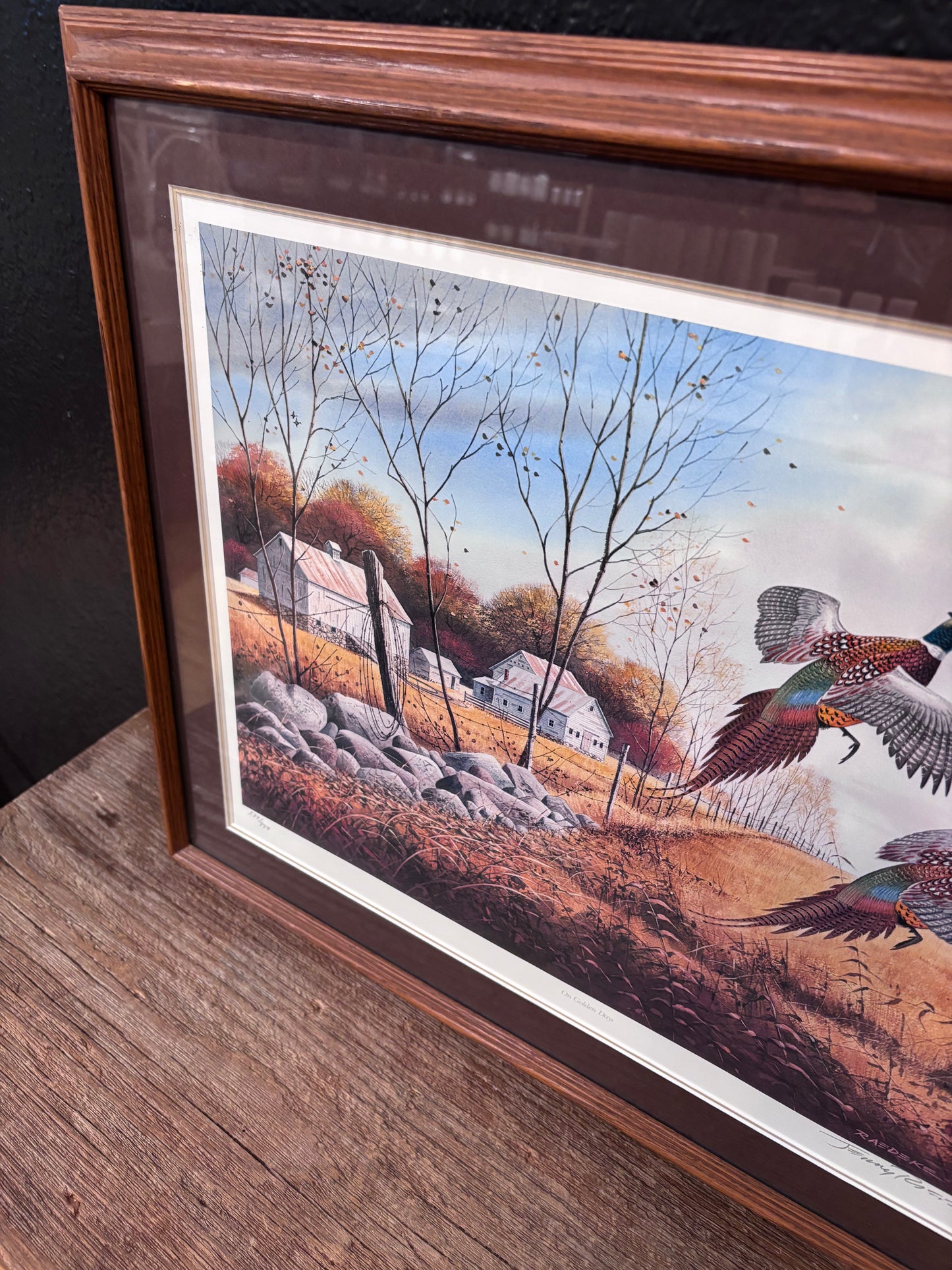 “On Golden Days” Framed Pheasant Print