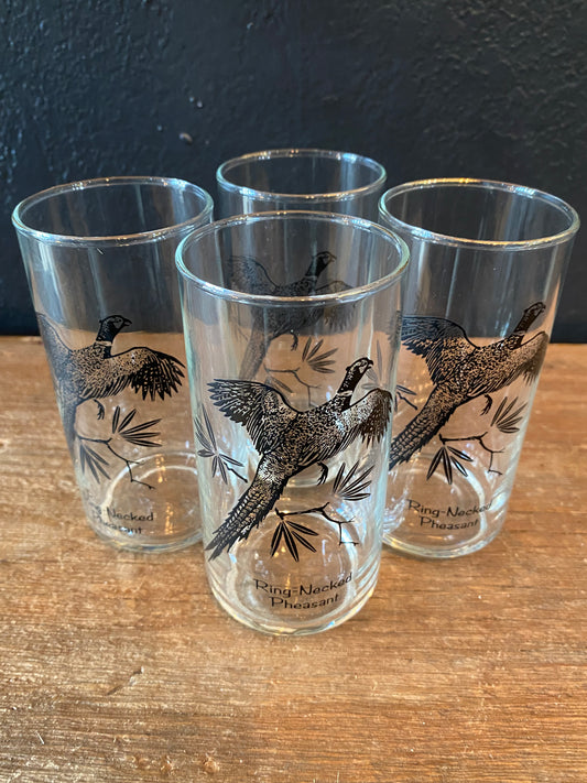 Pheasant Highball Glasses | Set Of Four