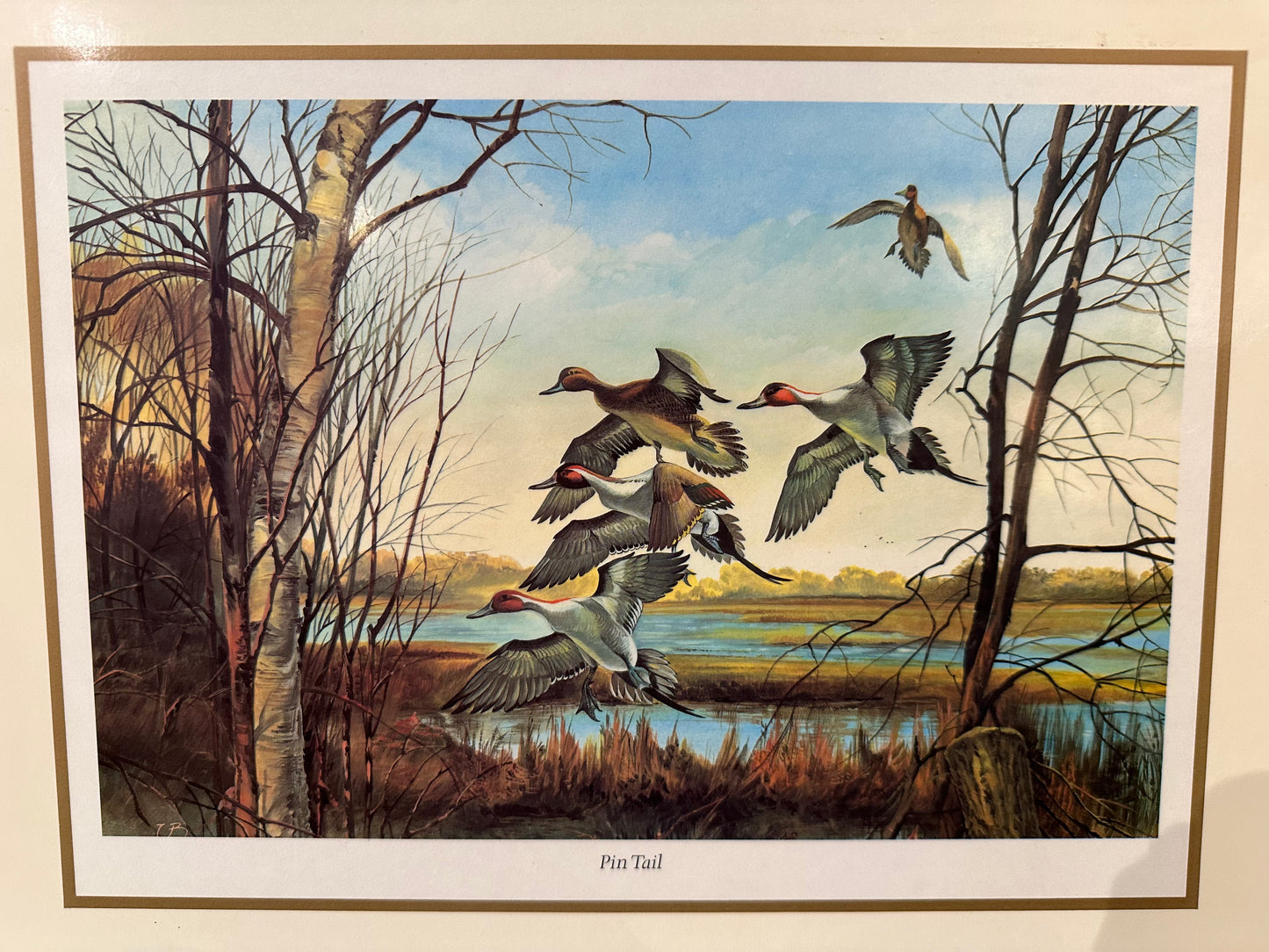 Vintage Pin Tail Duck Art