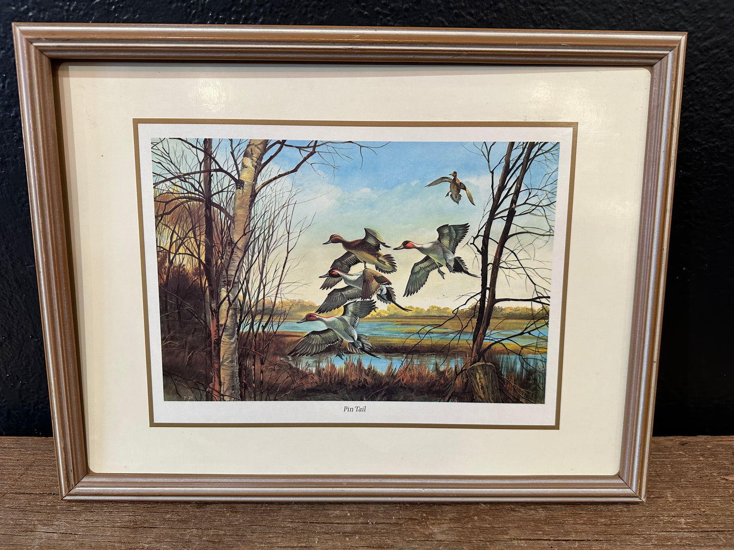 Vintage Pin Tail Duck Art