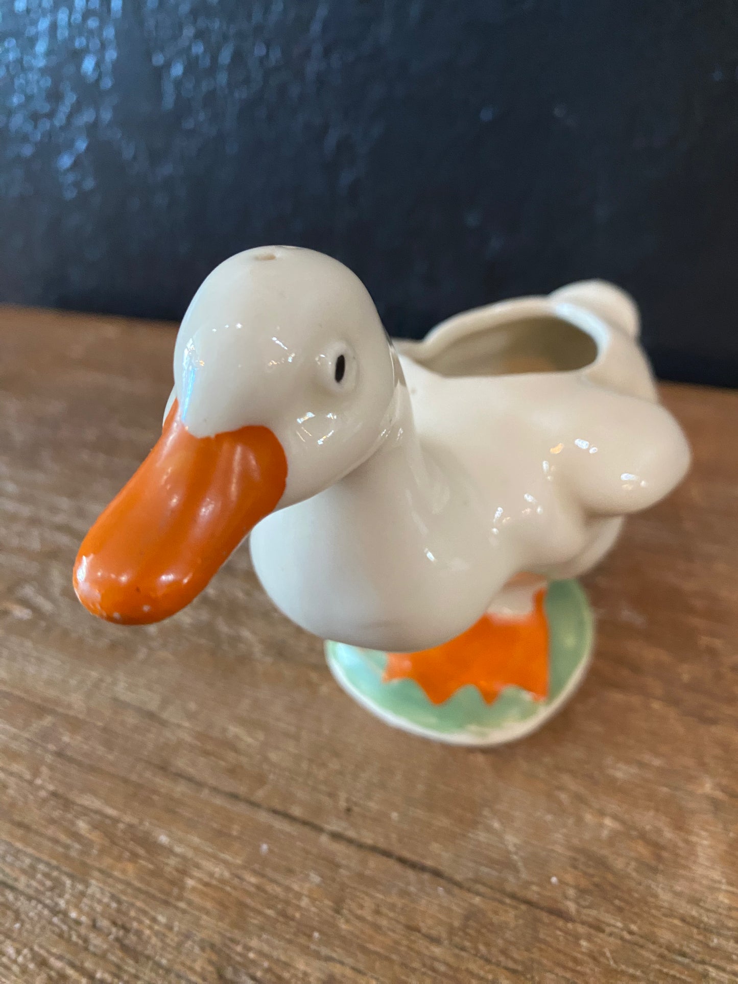 Duck Planter