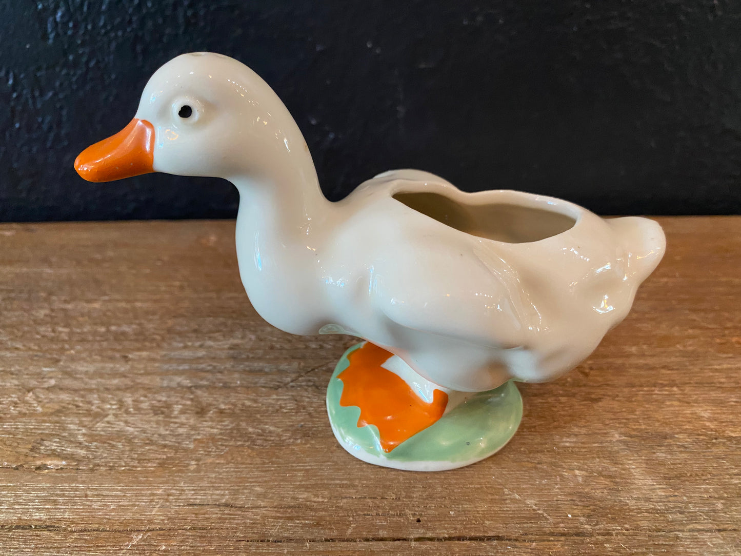 Duck Planter