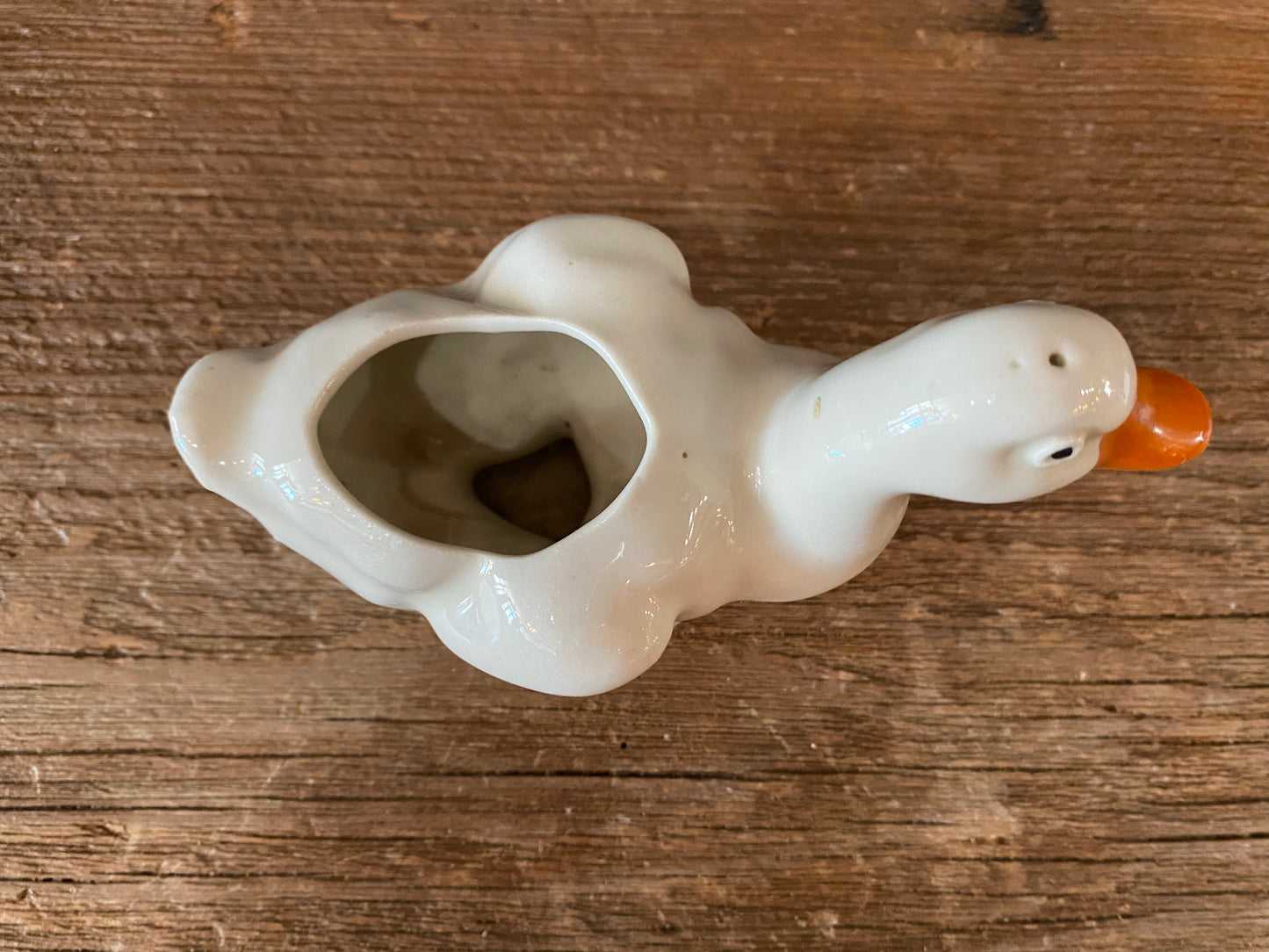 Duck Planter