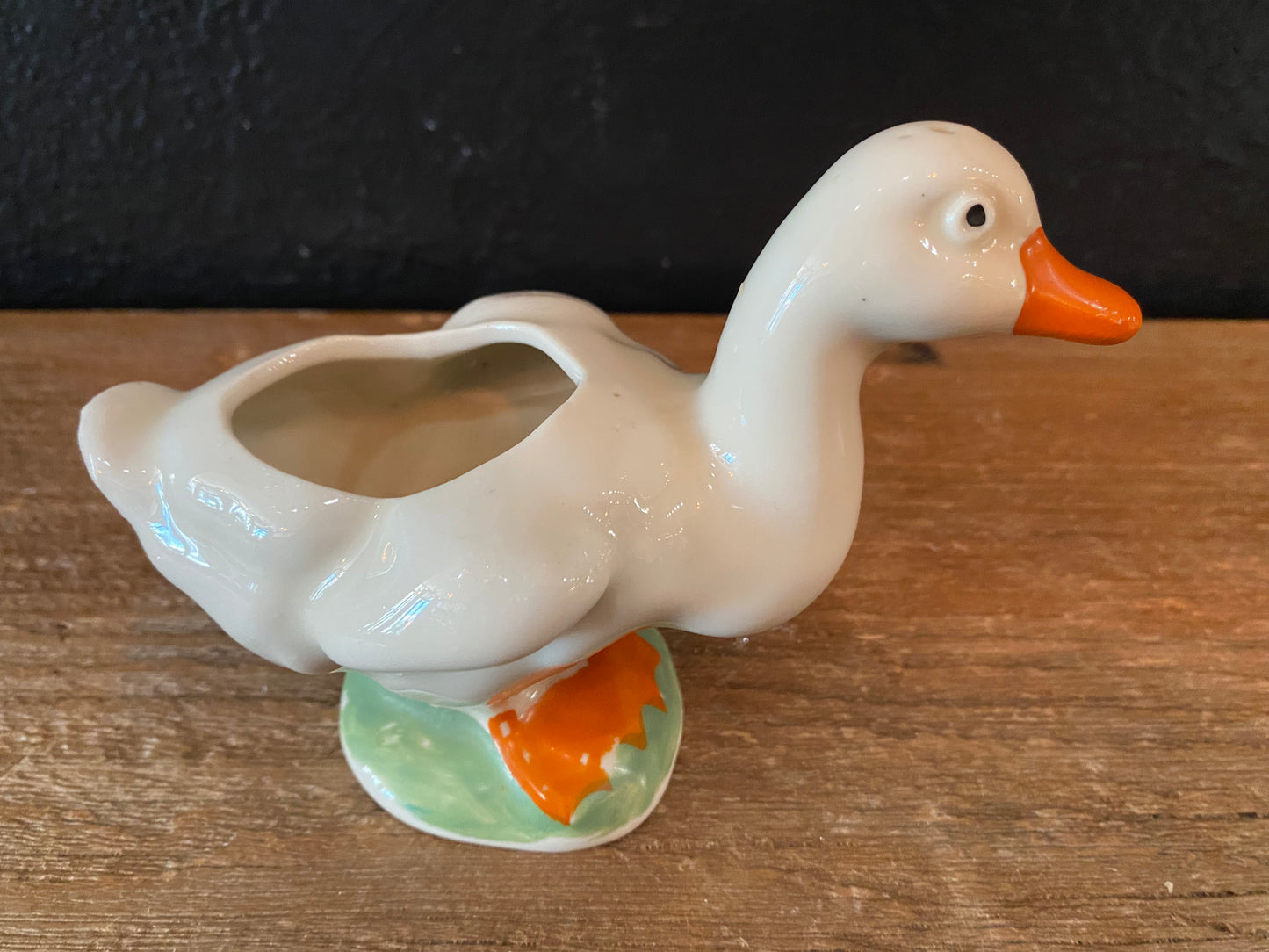 Duck Planter