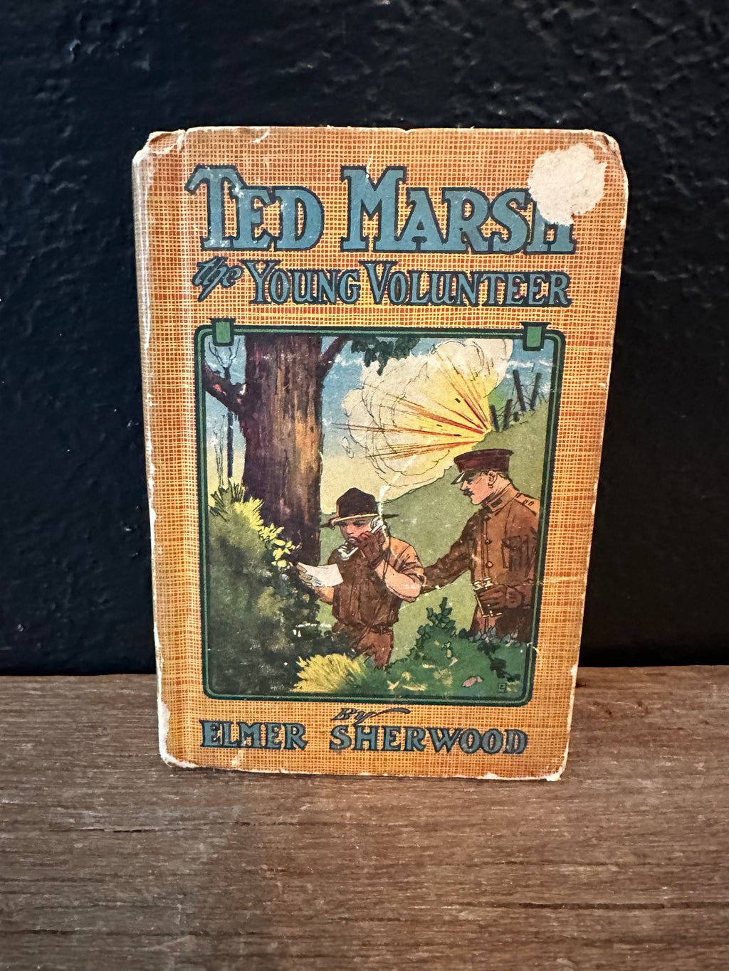 Ted March the Young Volunteer Antique Book