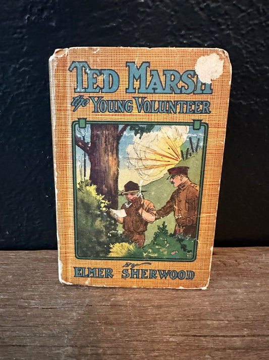 Ted March the Young Volunteer Antique Book