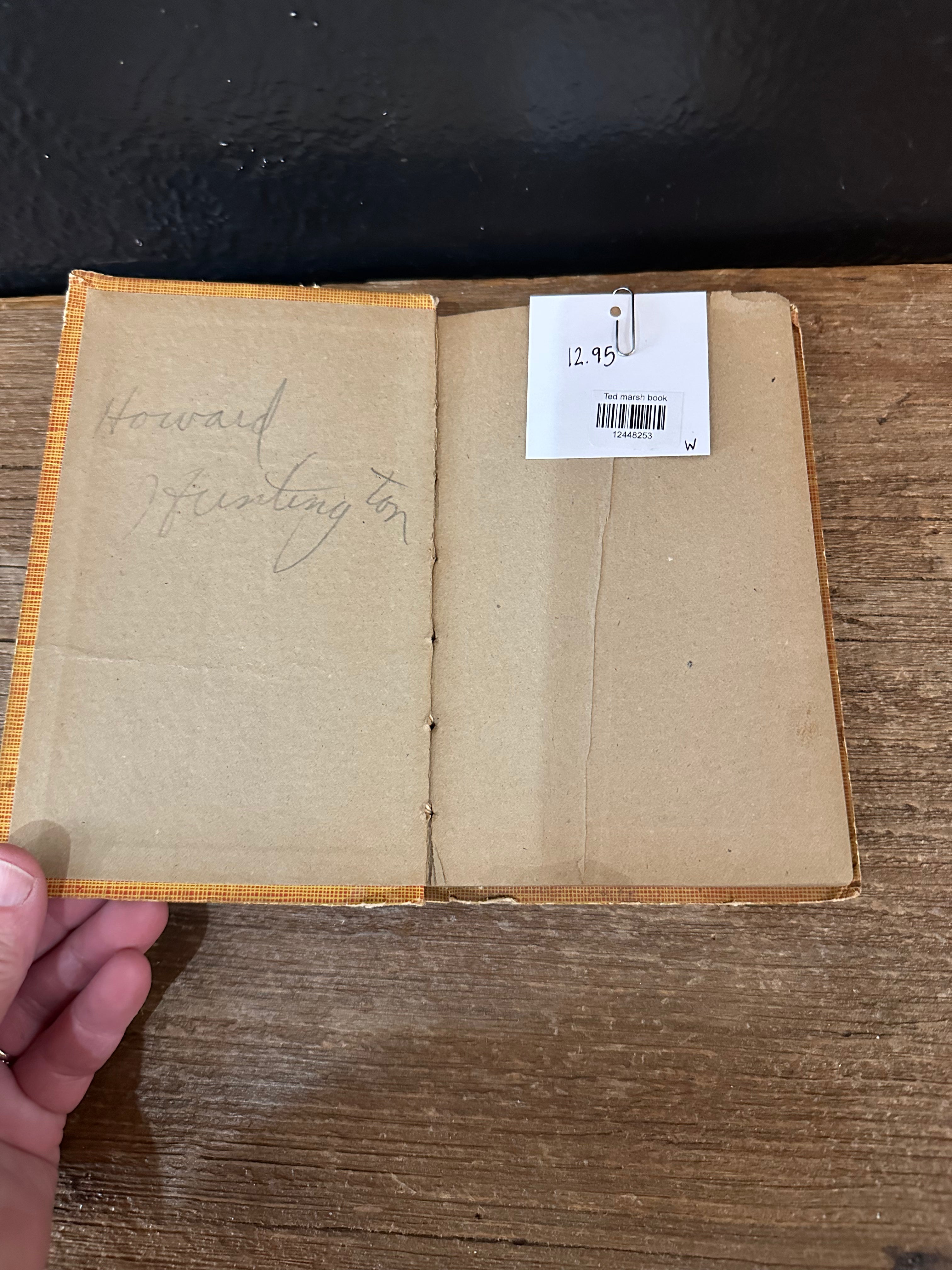 Ted March the Young Volunteer Antique Book