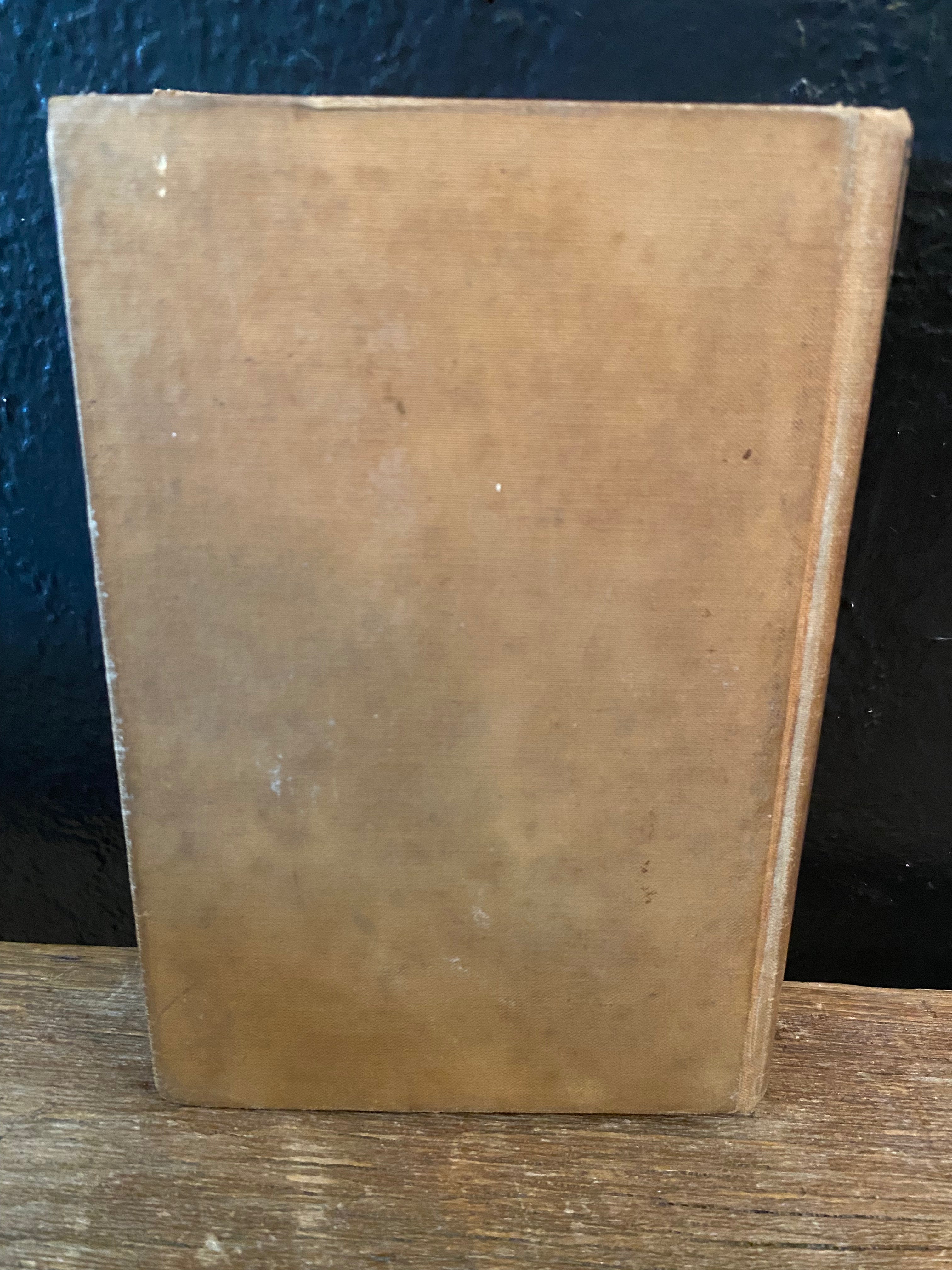 Antique Book | The Rover Boys On Land And Sea