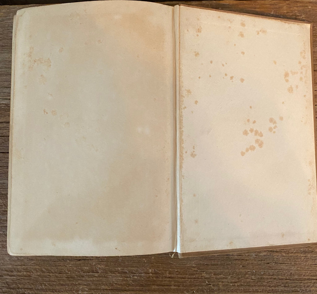 Antique Book | The Rover Boys On Land And Sea
