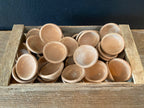 Clay Seed Starter Bowl