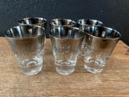 Silver Ombré Double Shot Whiskey Glasses | Set Of Six