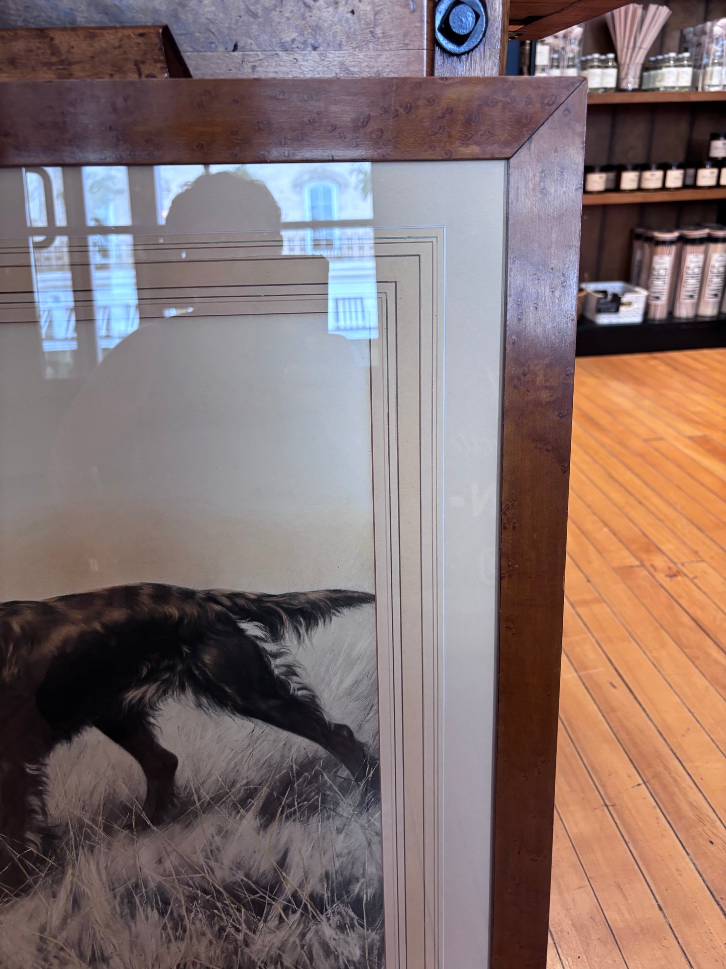 “The Shamrock” Antique Framed Hunting Print