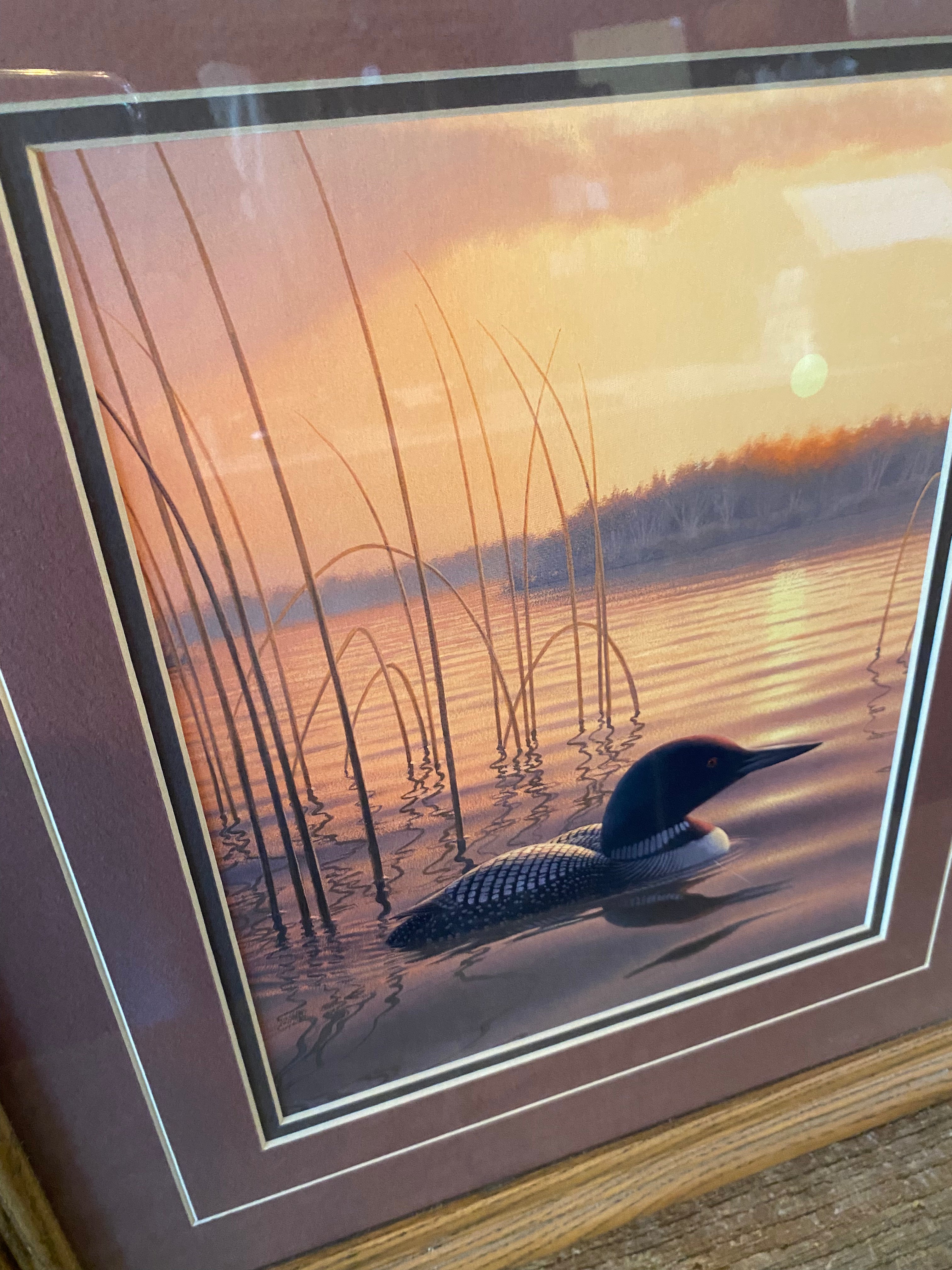 Framed Loon Print