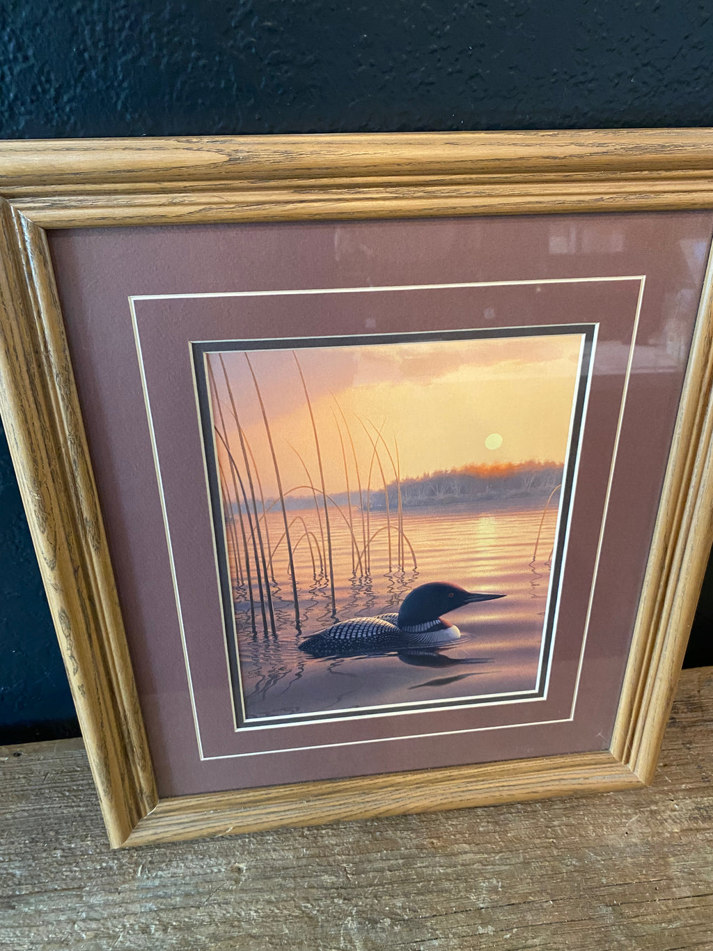 Framed Loon Print