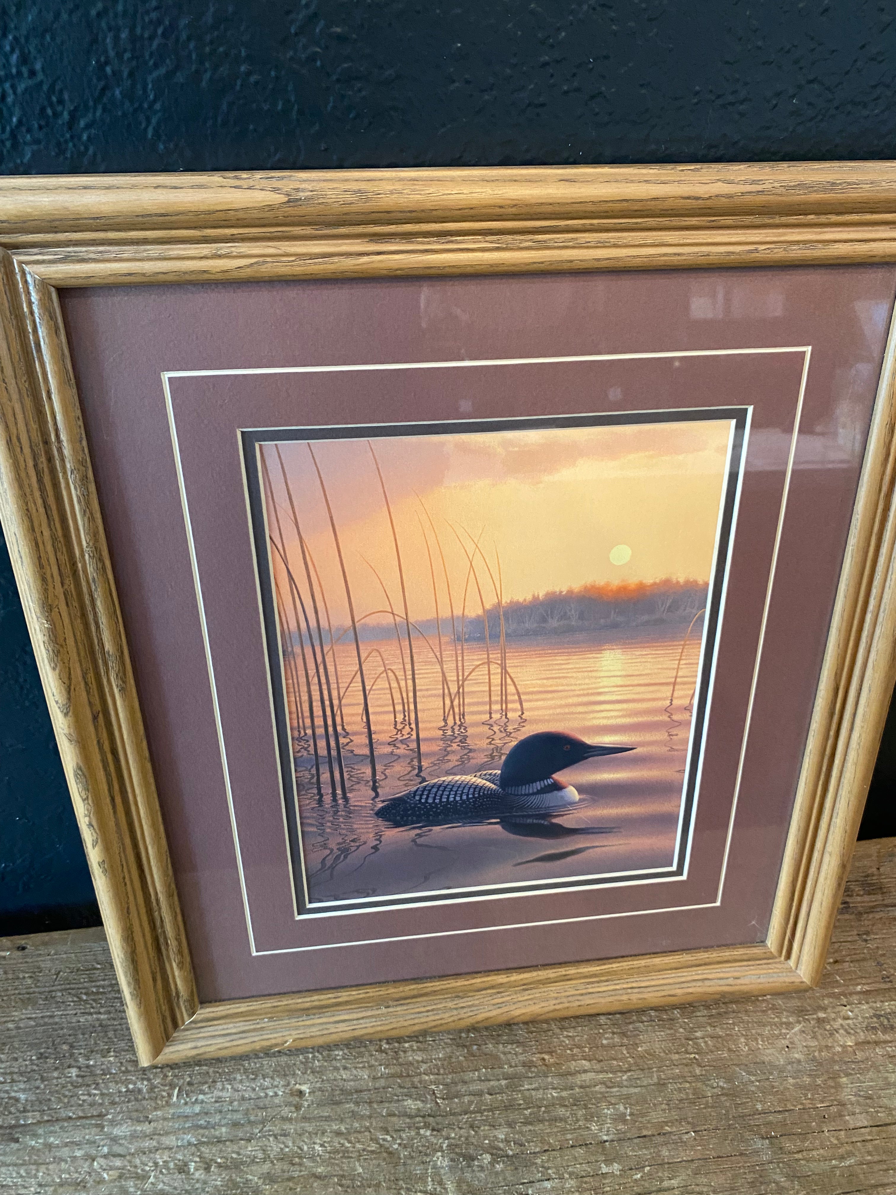 Framed Loon Print