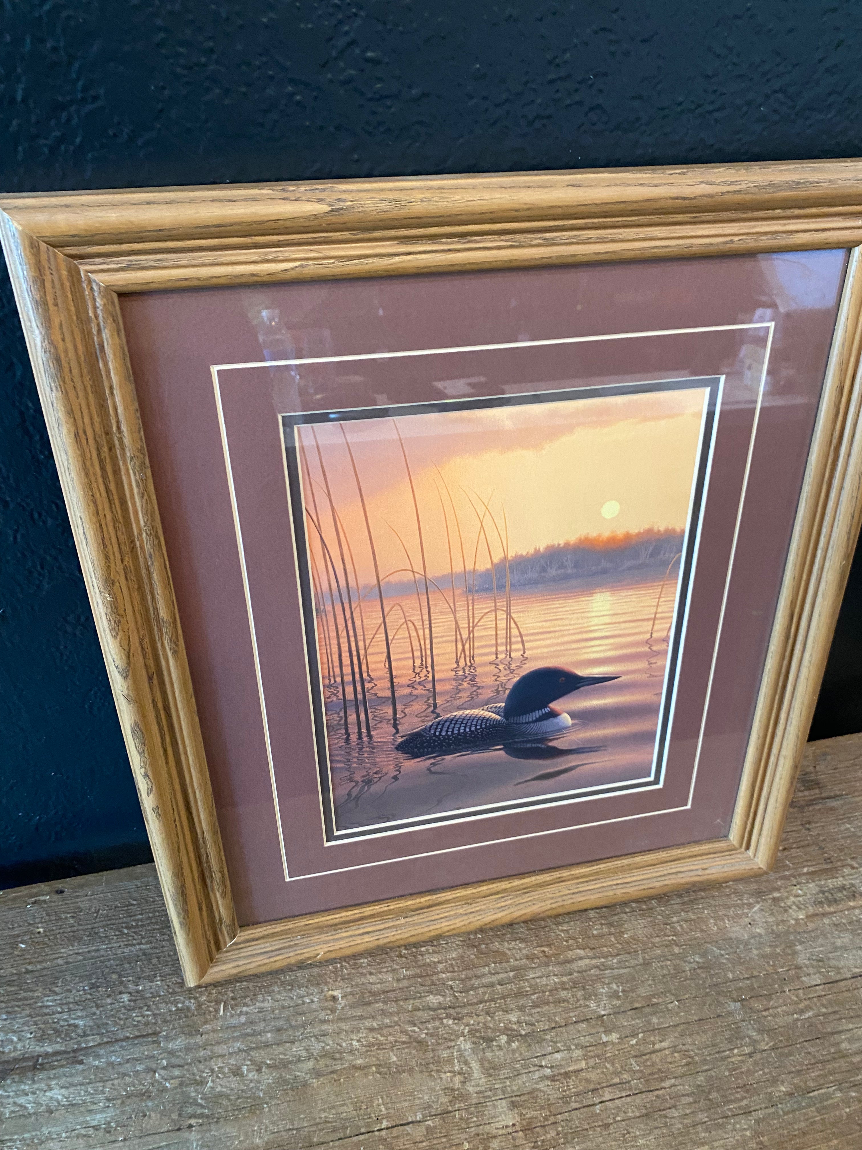 Framed Loon Print