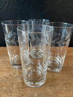 Etched Highball Glasses | Set Of Four