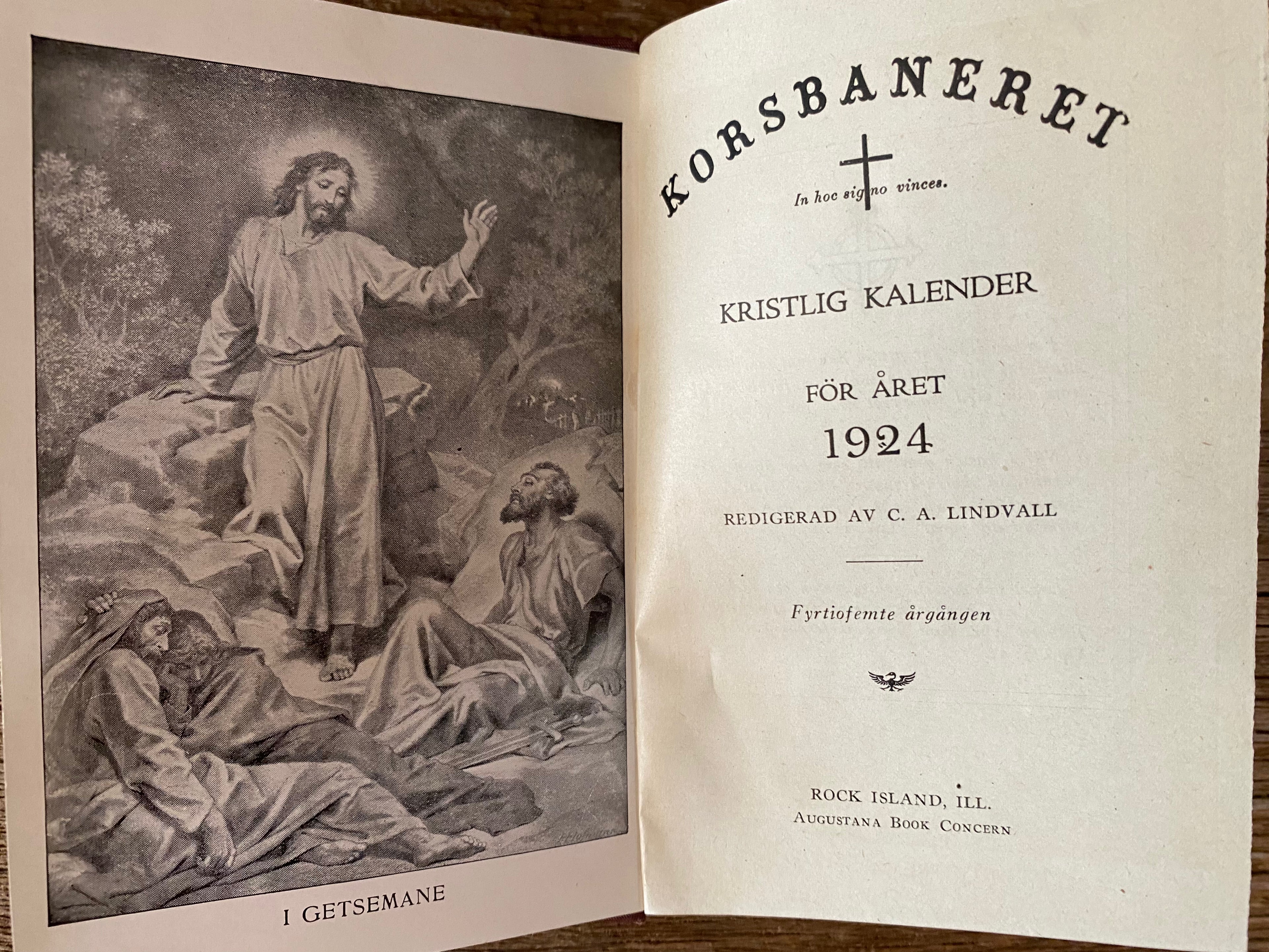 Antique Swedish Book The Banner of the Cross 1924