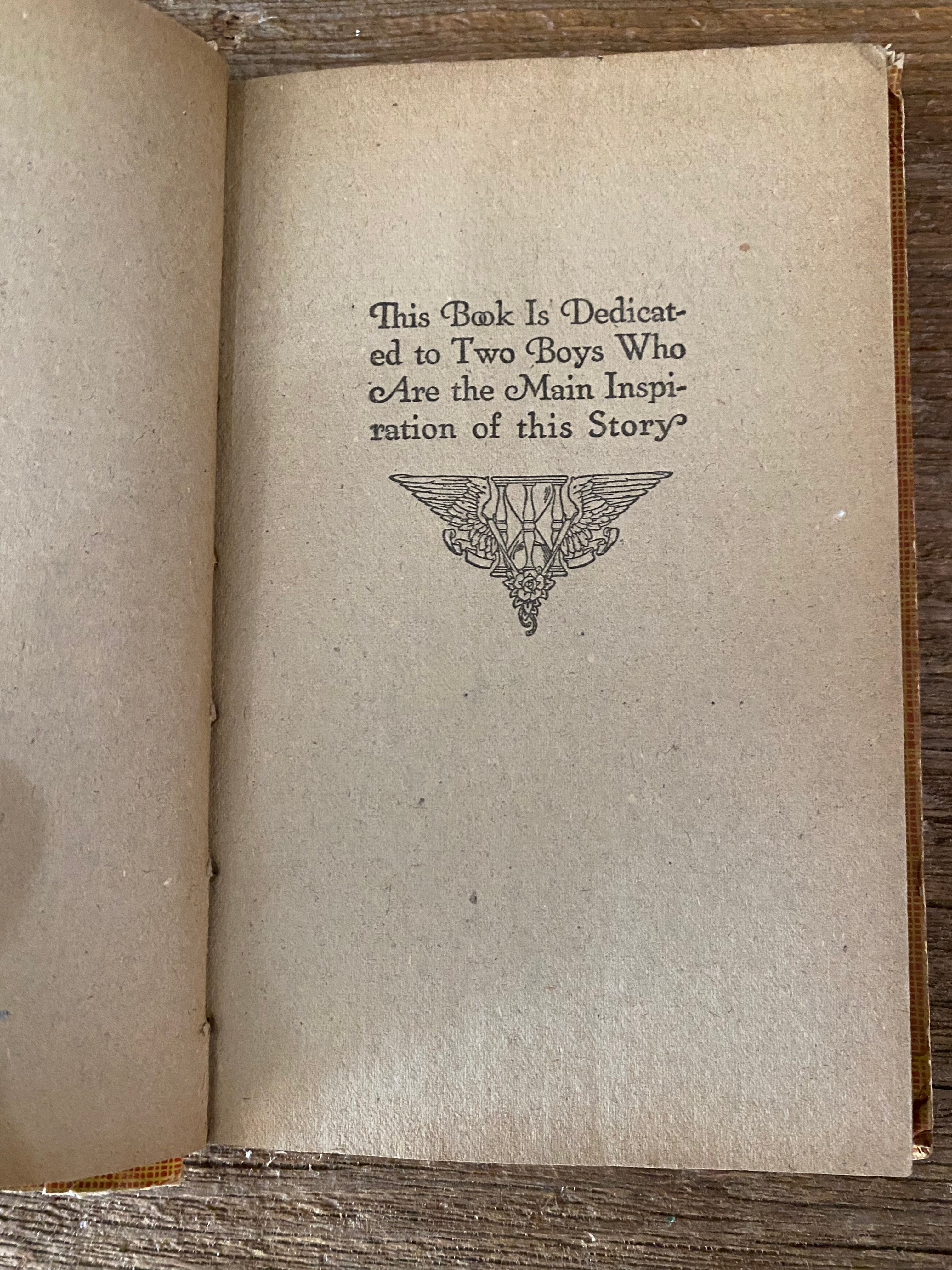 Ted March the Young Volunteer Antique Book