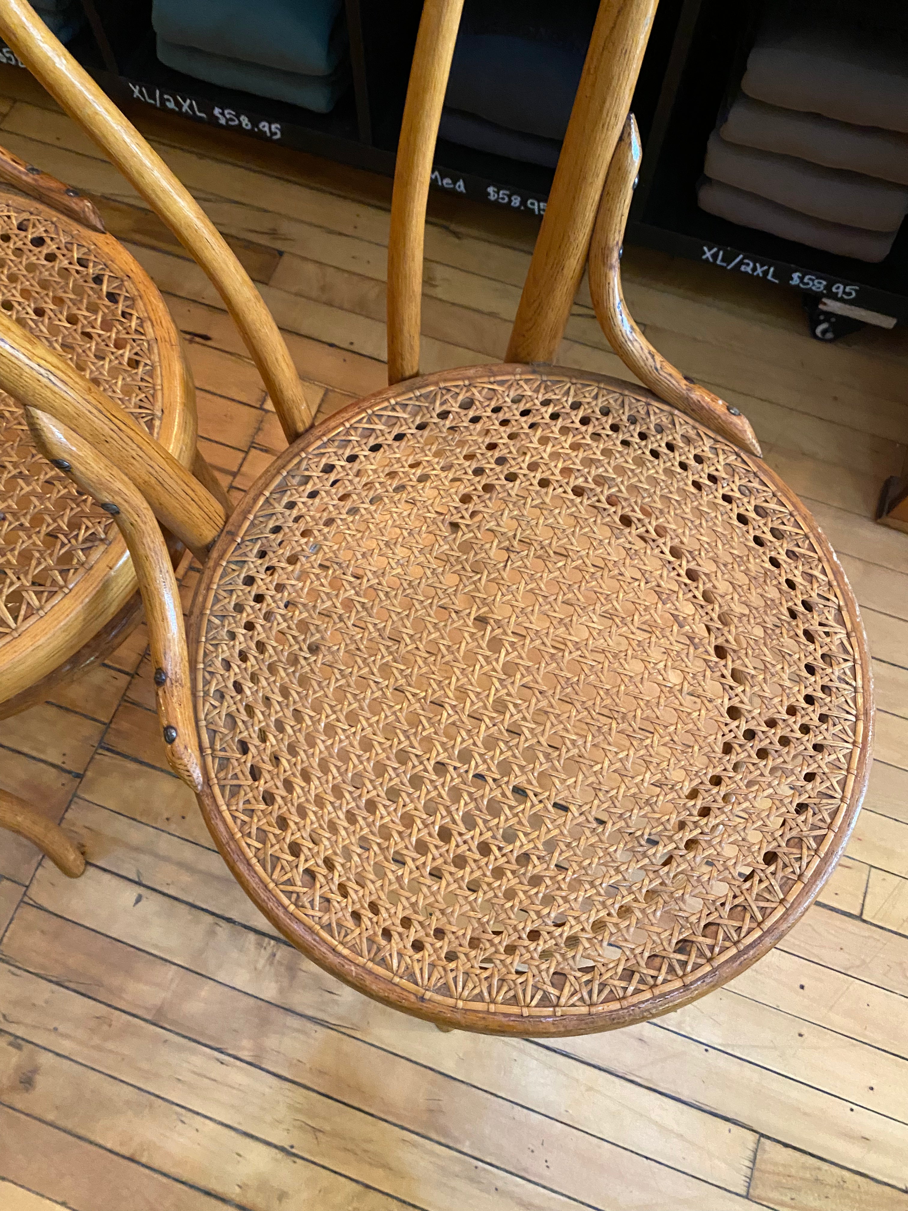 Bentwood Chair