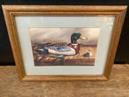 Duck Decoy Print