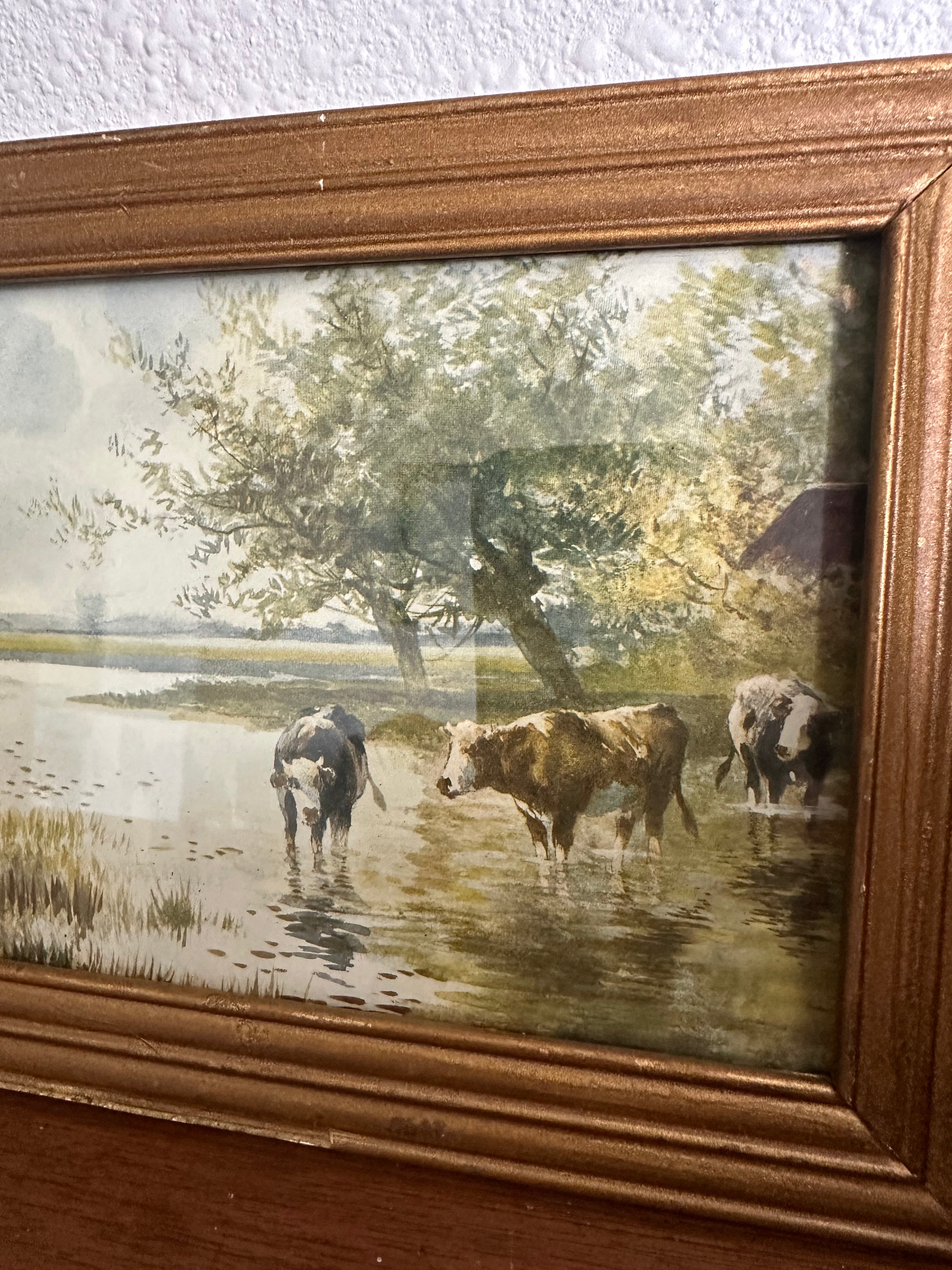 Antique Cow Print in Gold Frame