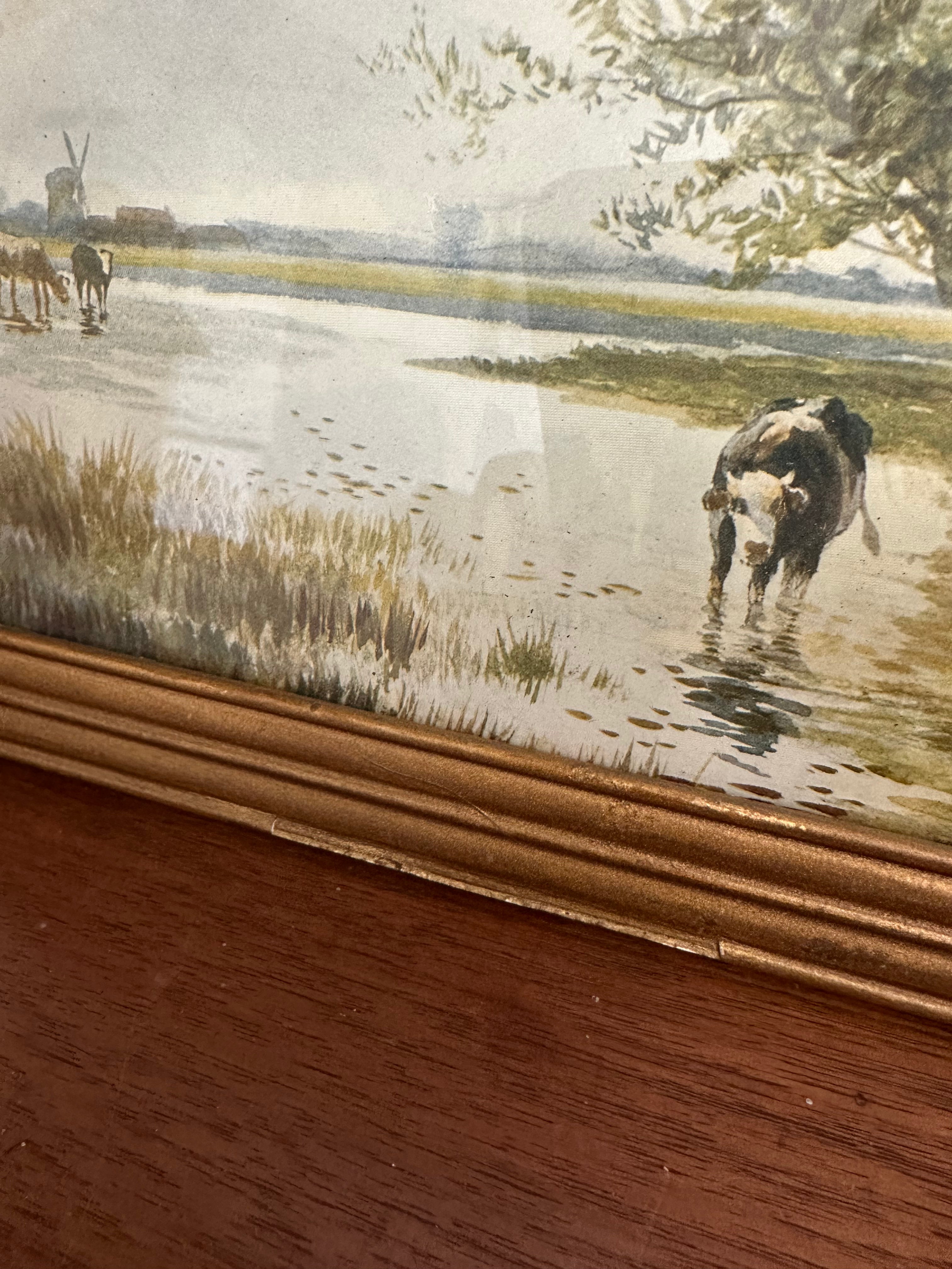 Antique Cow Print in Gold Frame