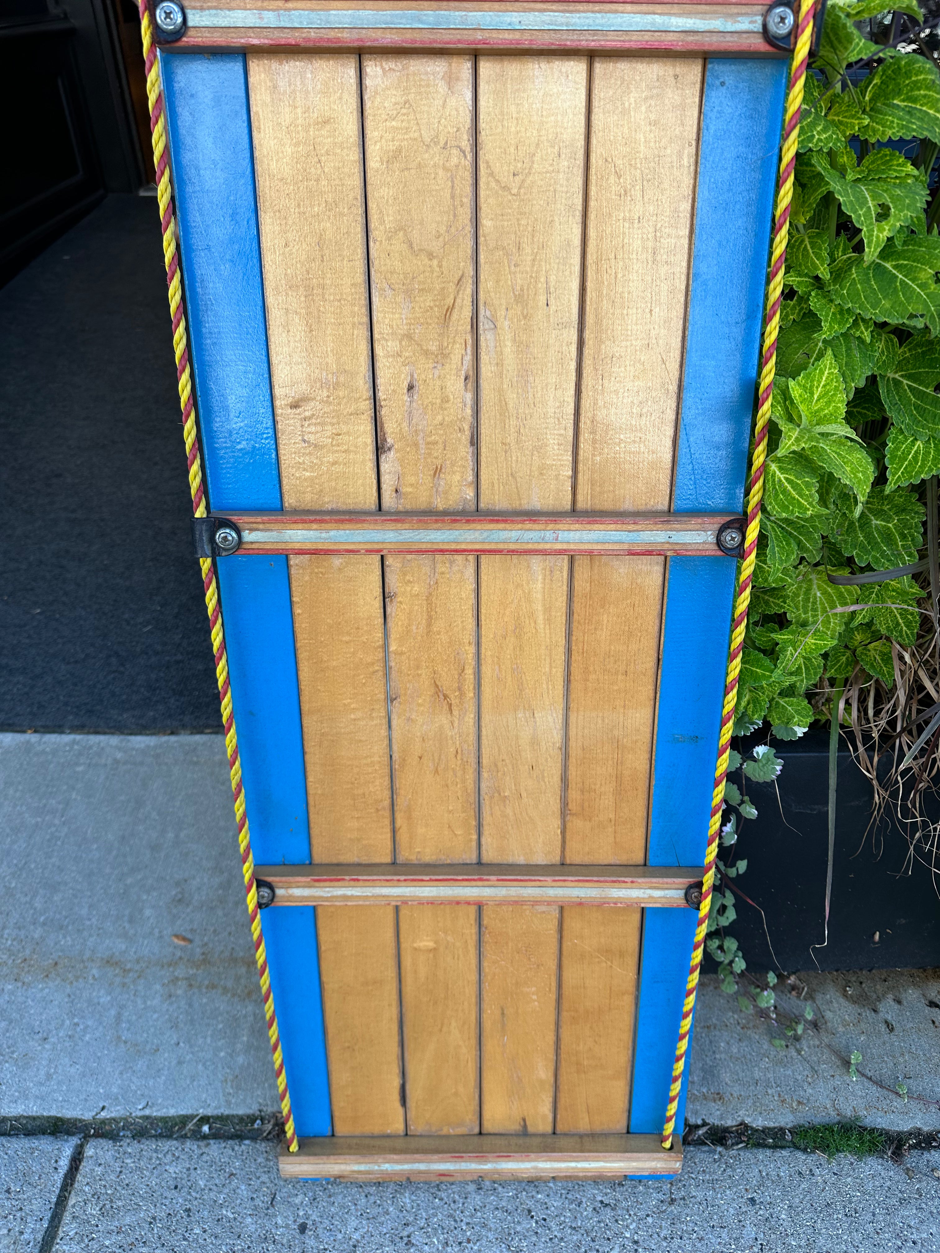 Alpine Toboggan