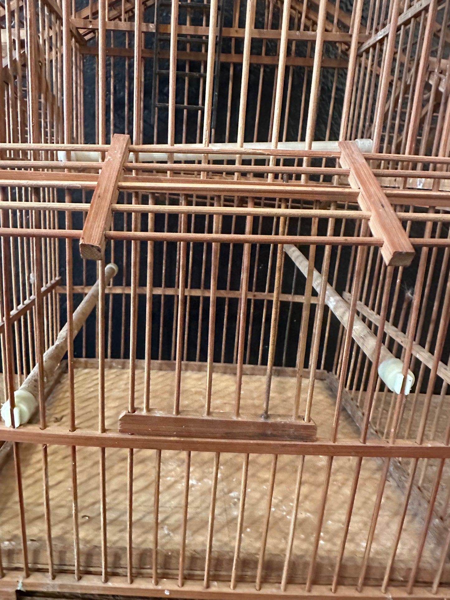 Birdcage