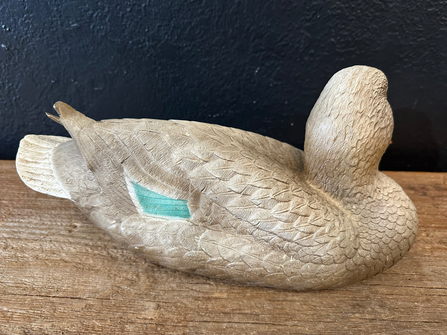 Outdoor Hen Mallard Duck