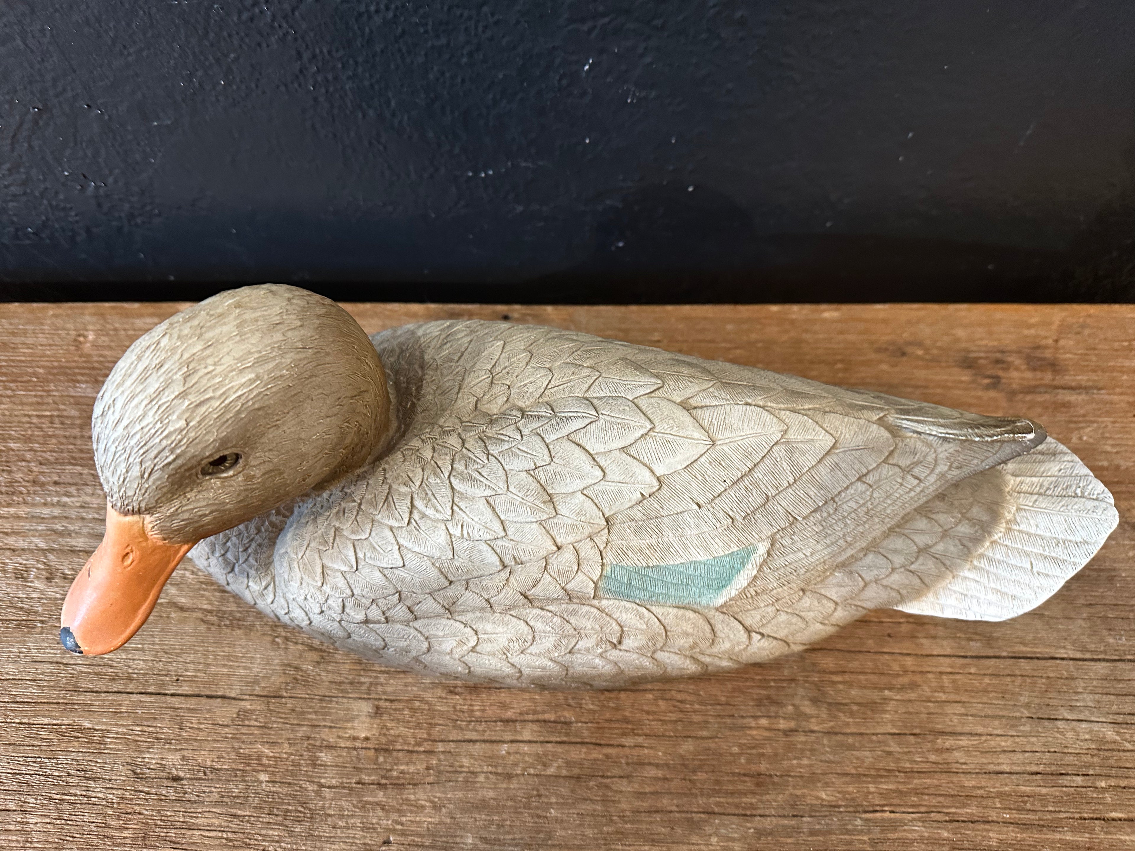 Outdoor Hen Mallard Duck