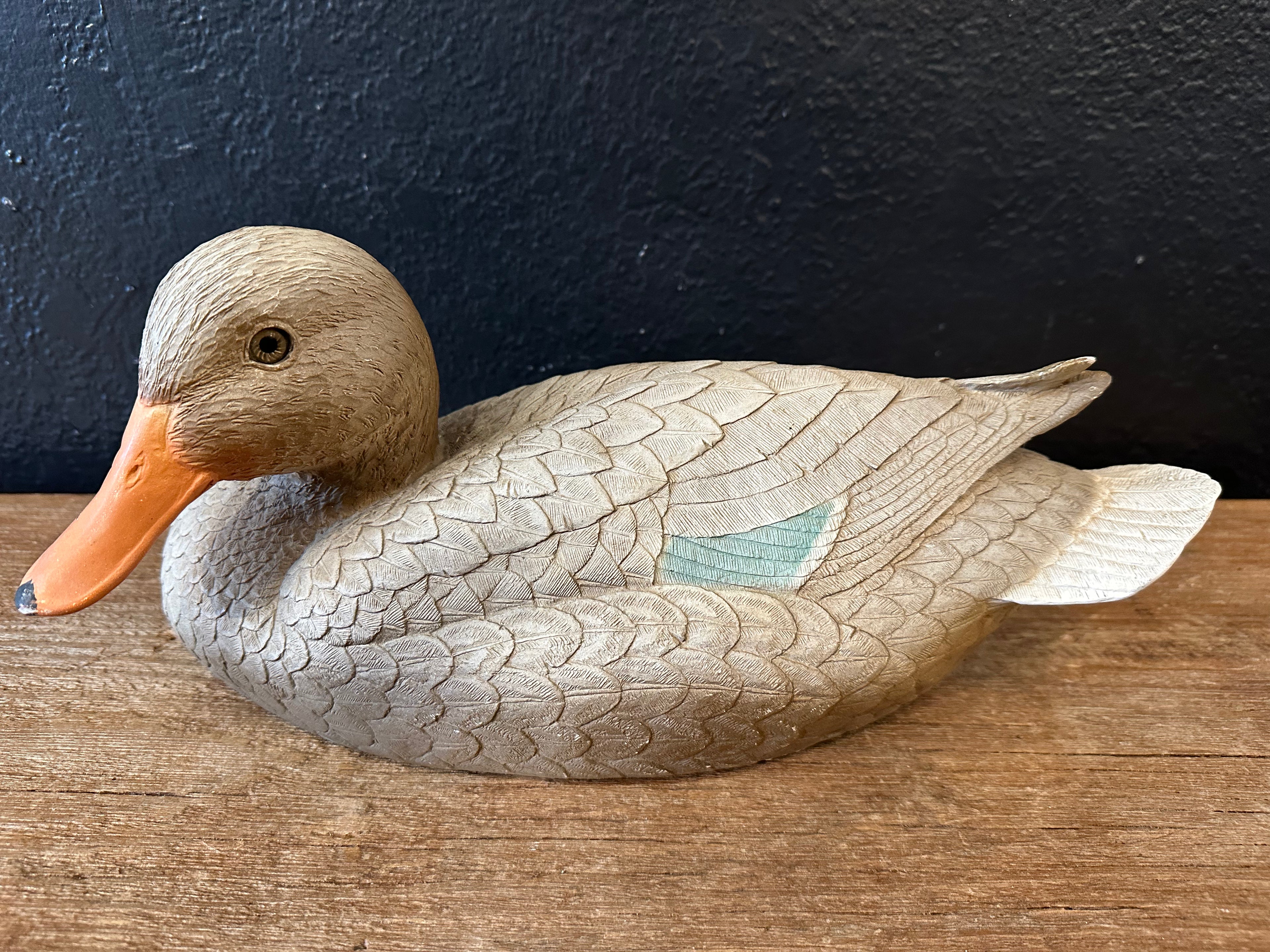 Outdoor Hen Mallard Duck