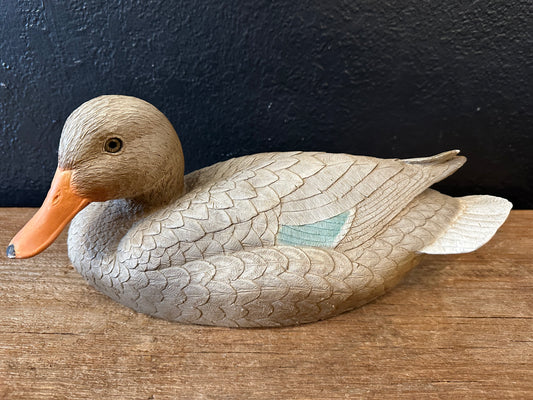 Outdoor Hen Mallard Duck