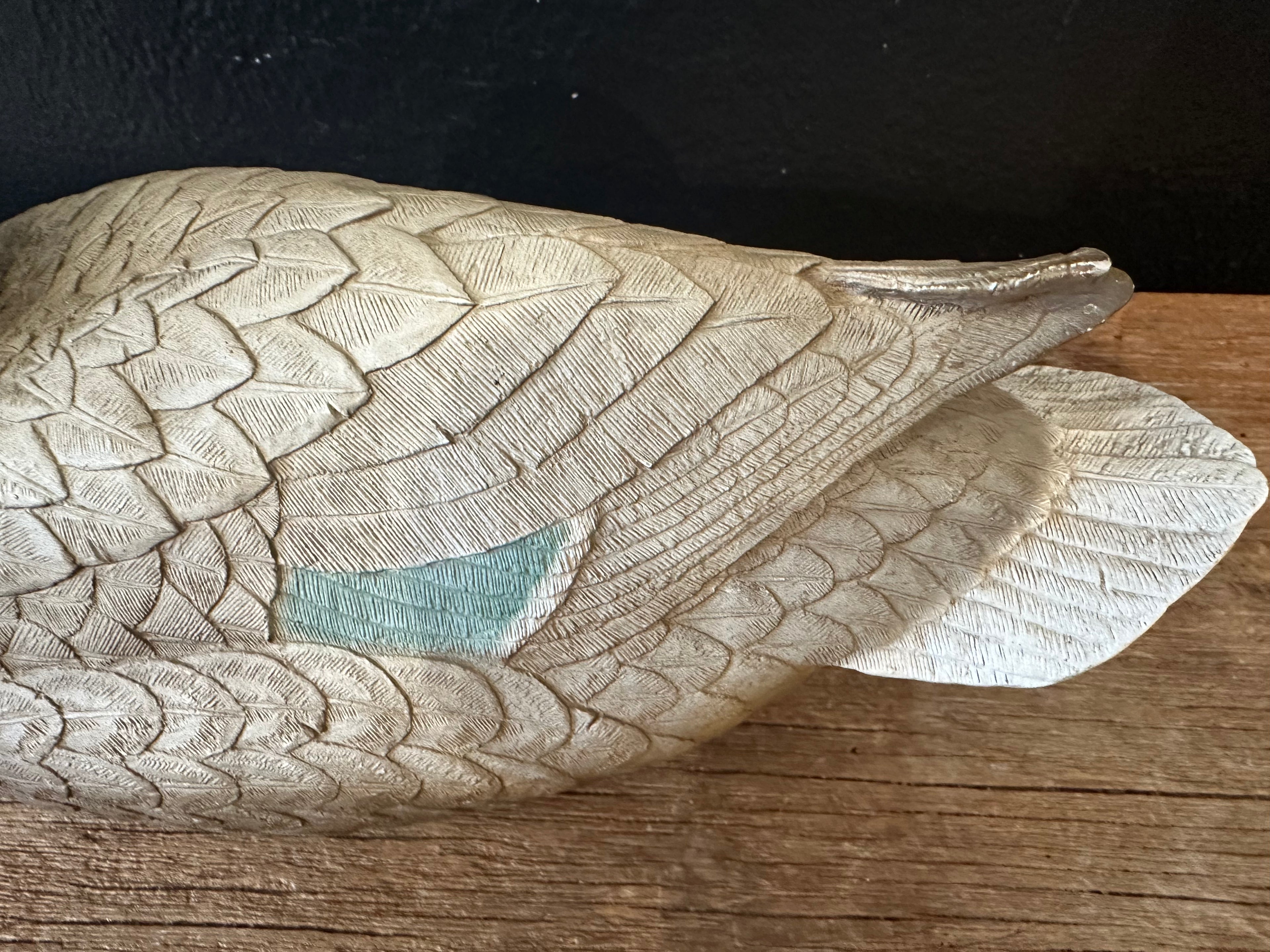 Outdoor Hen Mallard Duck