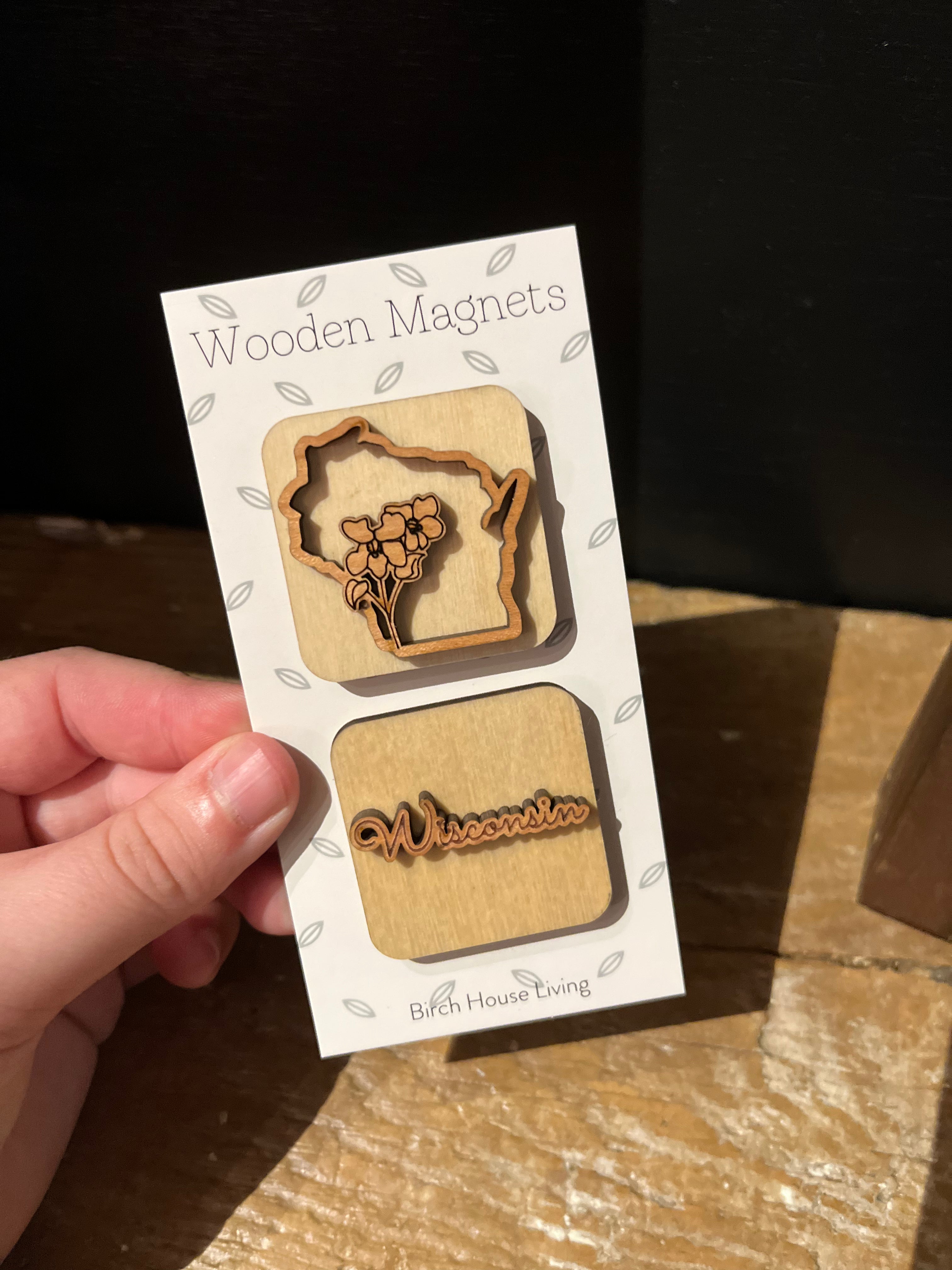 Wisconsin State Magnets