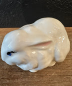 Vintage Bunny With Blue Eyes