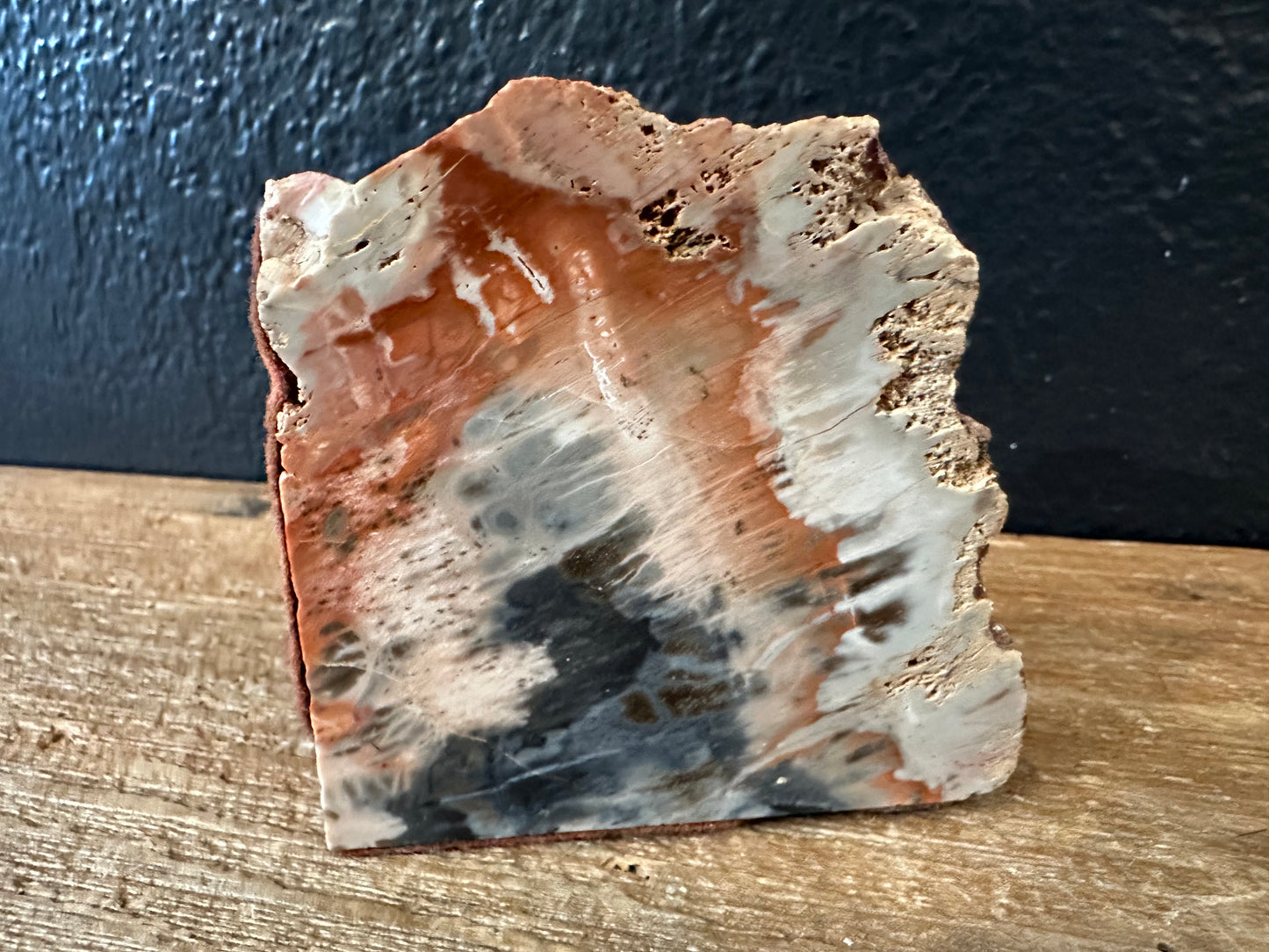 Petrified Rock From Arizona